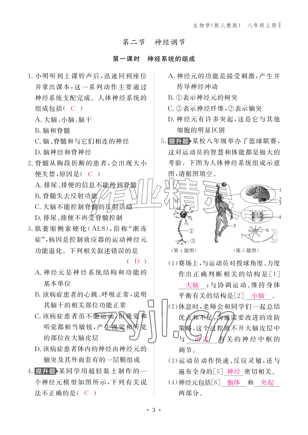 2026年作业本江西教育出版社八年级生物上册人教版&nbsp;参考答案第3页