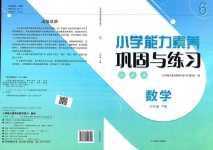 2024年小學能力素養(yǎng)鞏固與練習六年級數(shù)學下冊