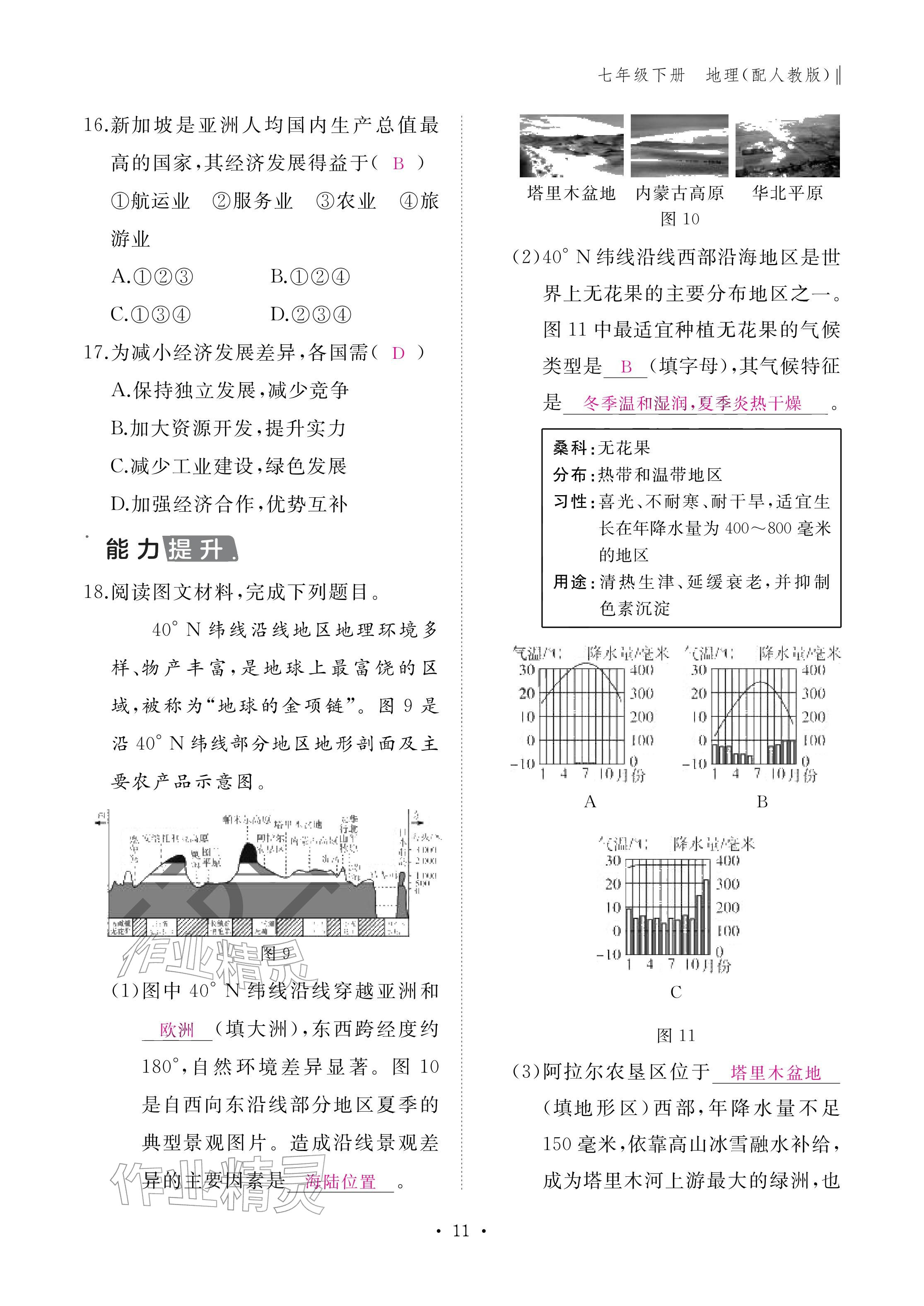 2026年作业本江西教育出版社七年级地理下册人教版&nbsp;参考答案第11页