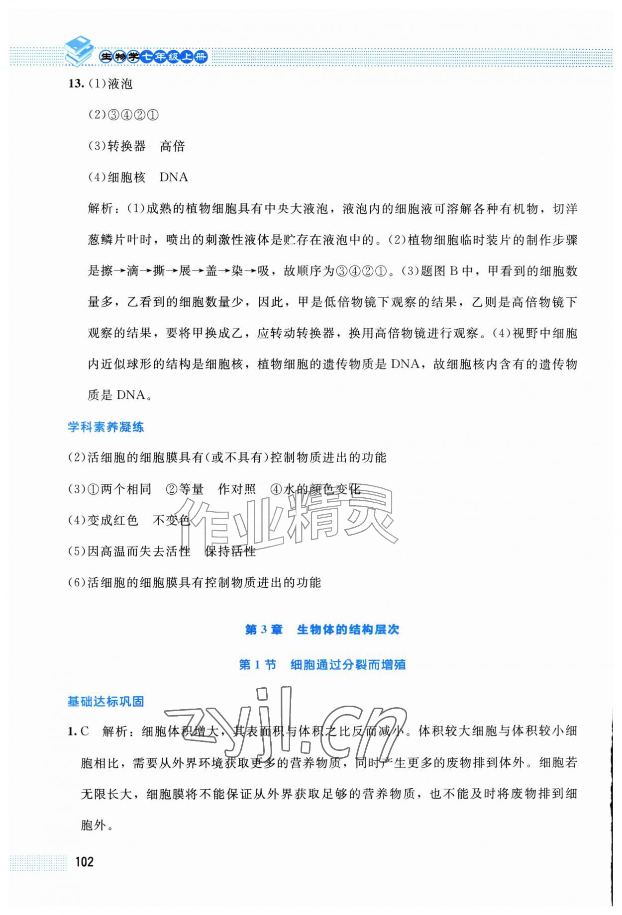 2026年课堂精练七年级生物上册北师大版福建专版&nbsp;第10页