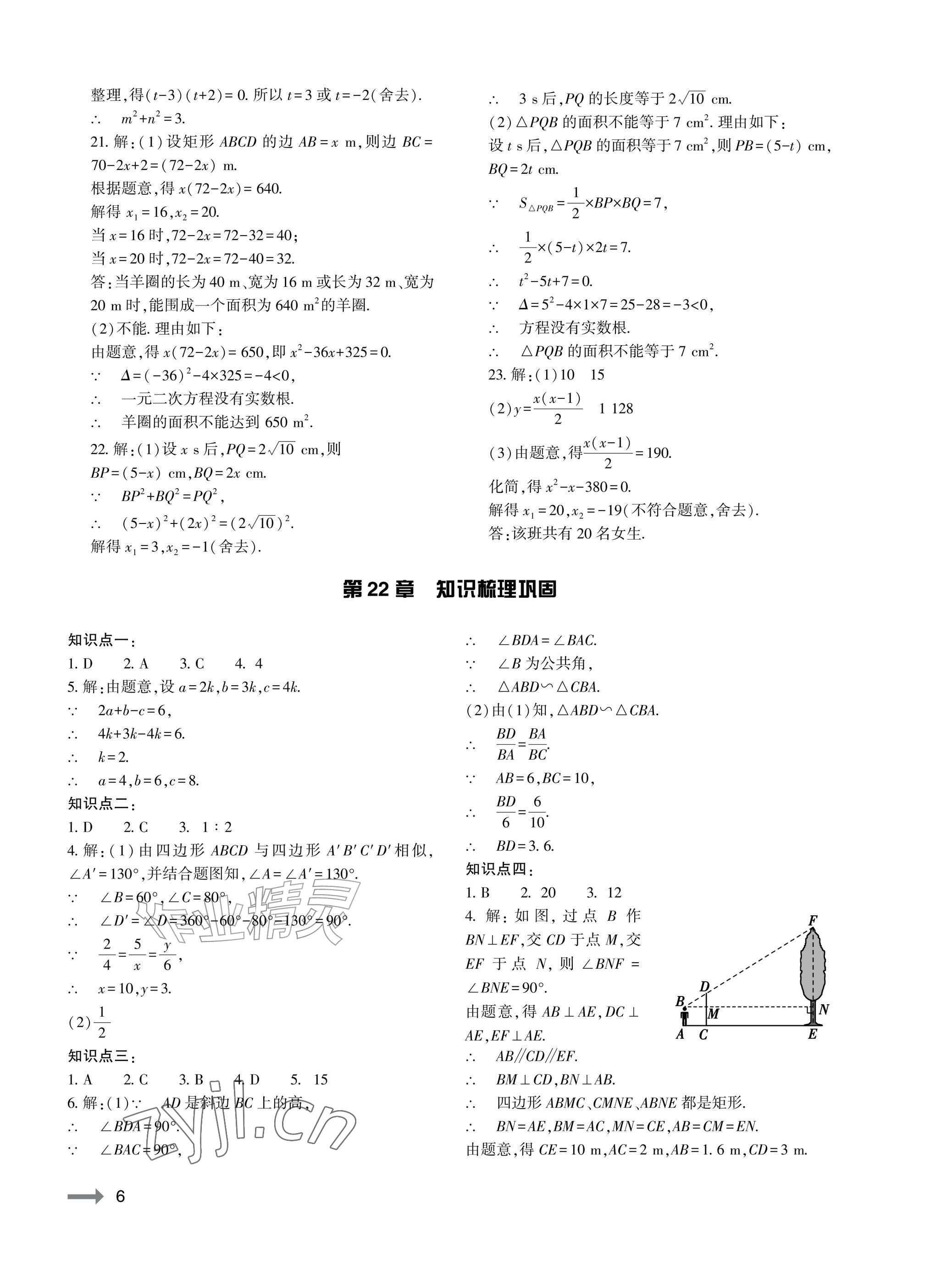 2026年节节高大象出版社九年级数学全一册华师大版&nbsp;参考答案第6页
