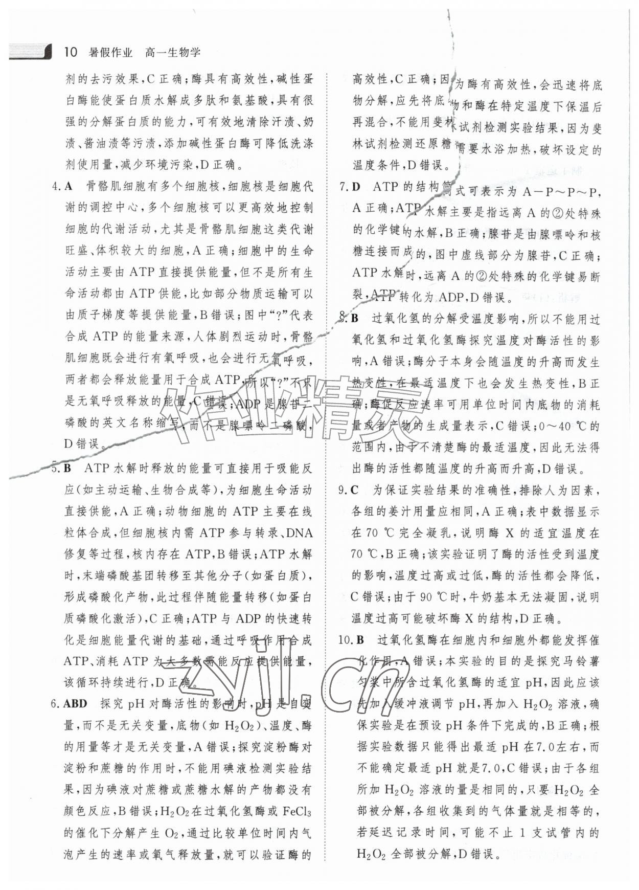 2026年金版新学案暑假作业高一生物&nbsp;参考答案第9页