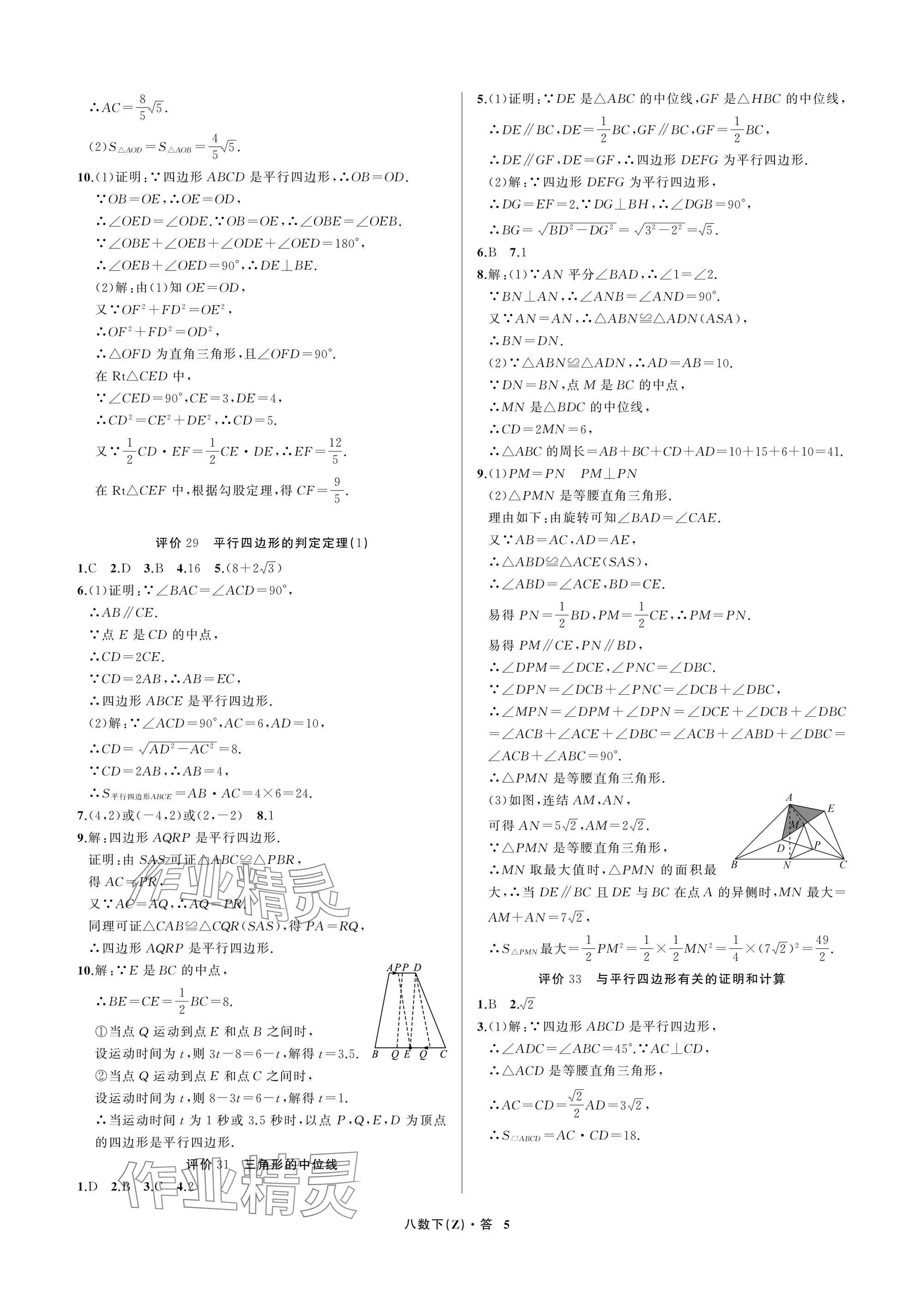 2026年名师面对面学科素养评价八年级数学下册浙教版&nbsp;参考答案第5页