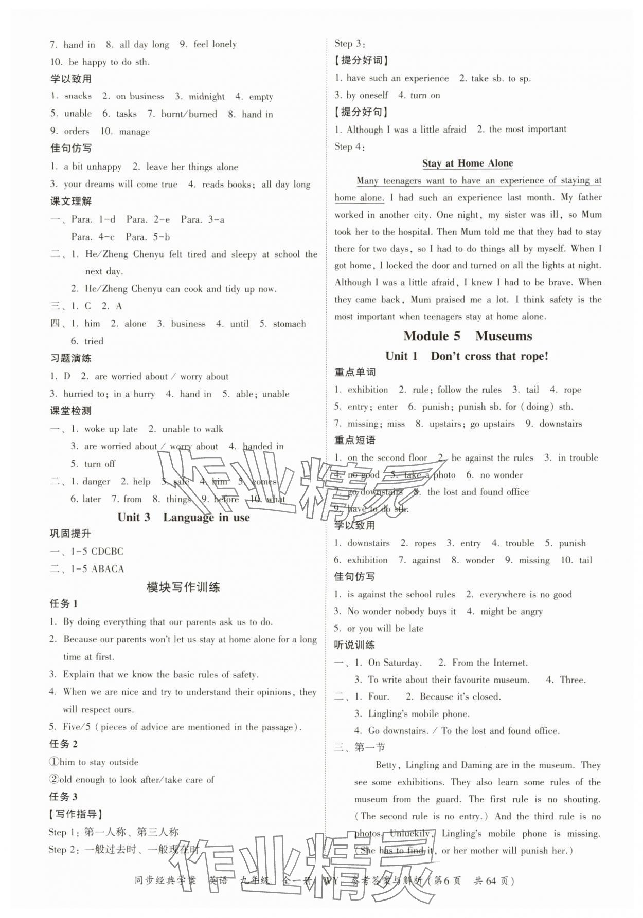 2025年同步经典学案九年级英语全一册外研版&nbsp;第6页