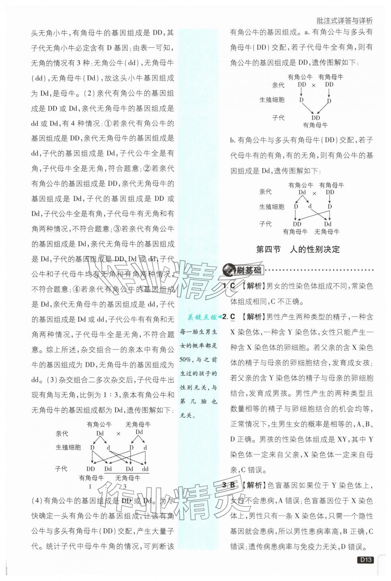 2026年初中必刷题八年级生物下册人教版&nbsp;第13页