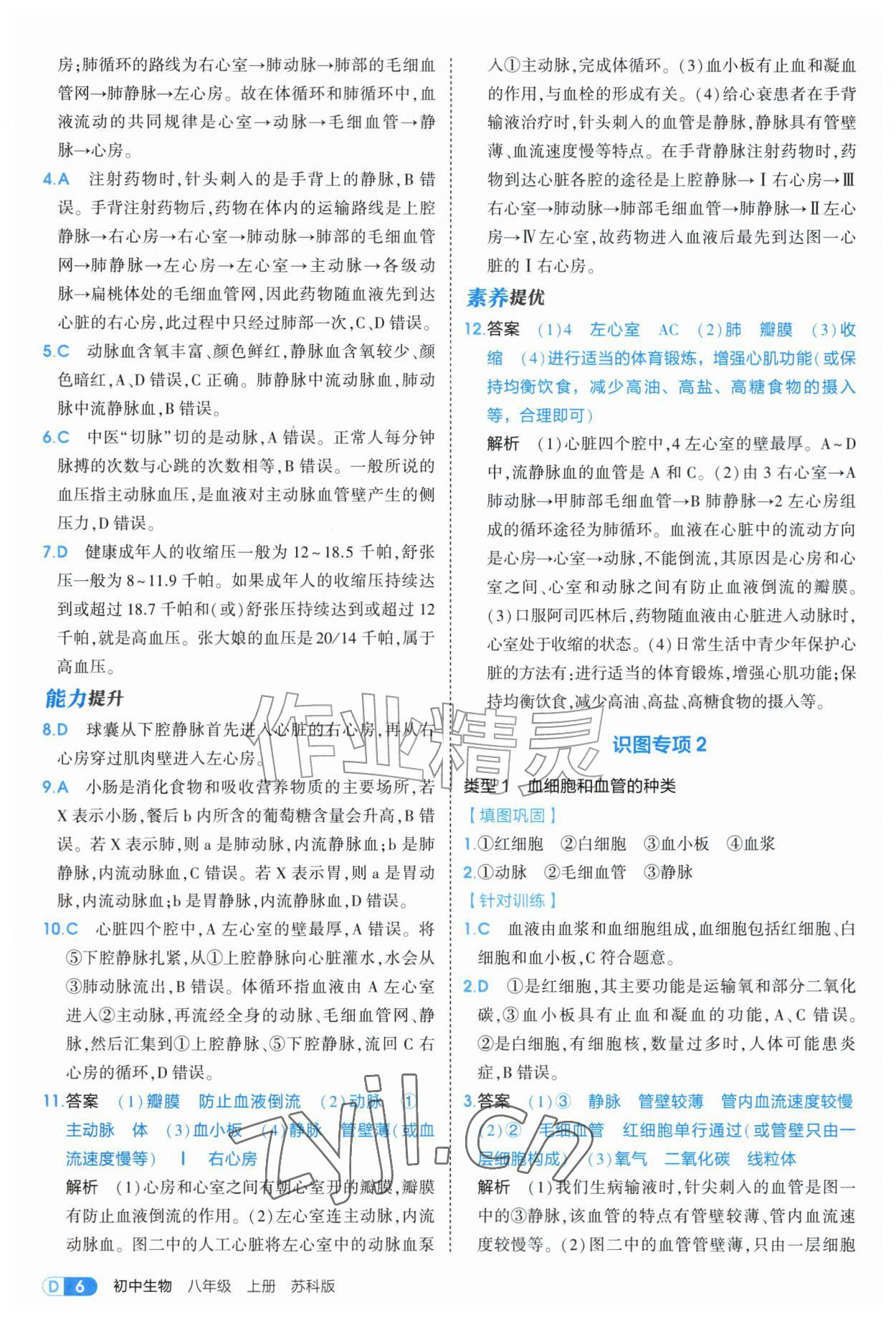 2026年5年中考3年模拟八年级生物上册苏科版&nbsp;第6页