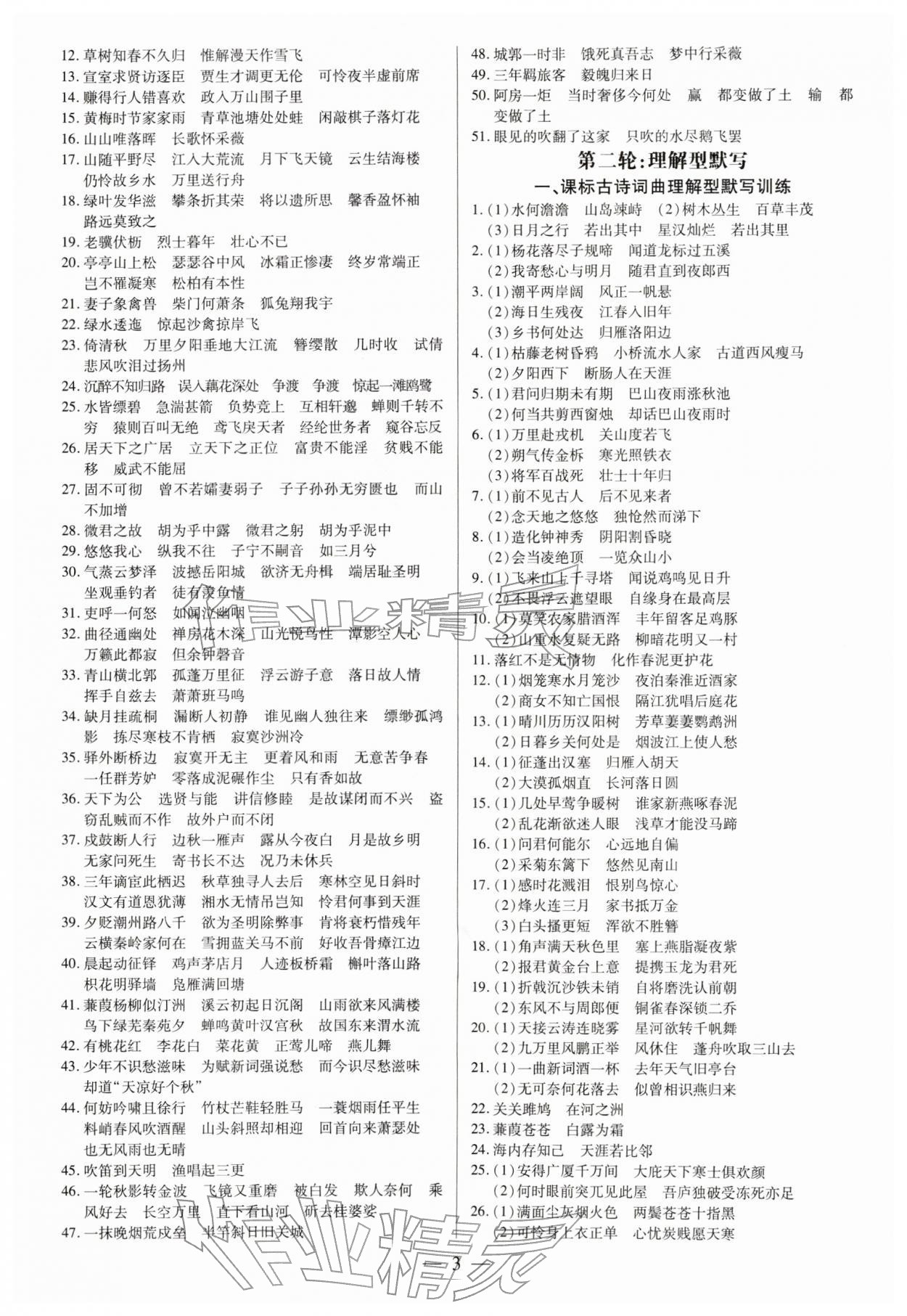 2026年领跑中考语文广东专版&nbsp;第3页