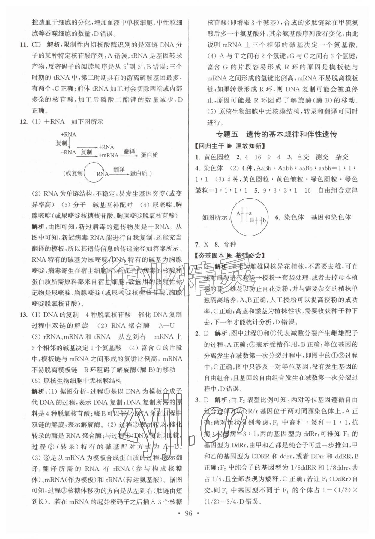 2026年假期之友东南大学出版社暑假高二生物&nbsp;第6页