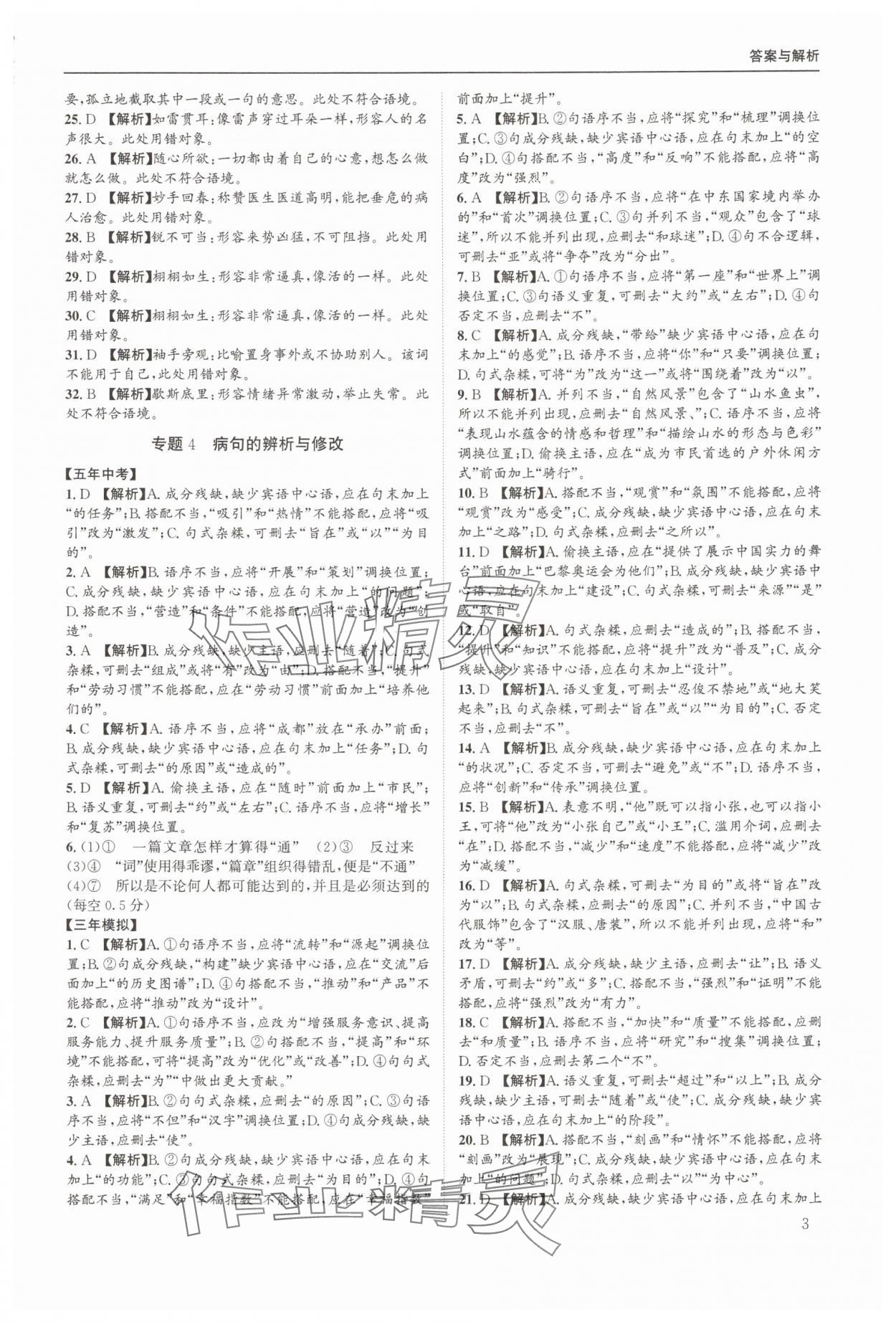2025年实至中考核心考点精编语文中考成都专版&nbsp;第3页