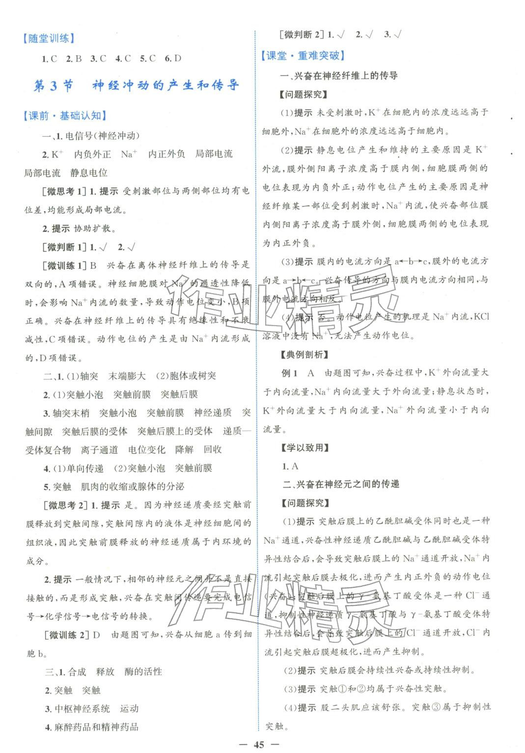 2025年南方新课堂金牌学案高中生物选择性必修第一册人教版&nbsp;第5页