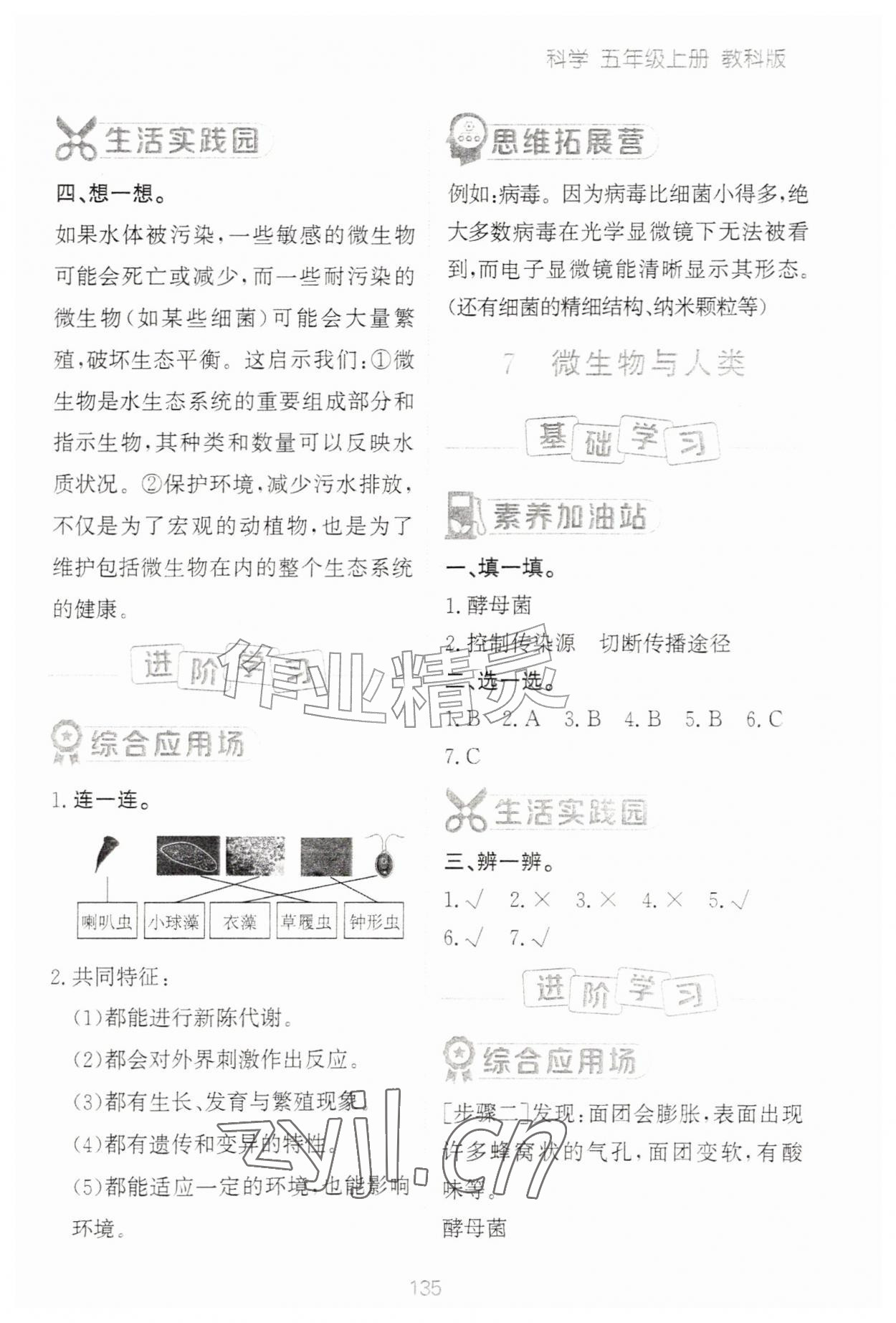 2026年资源与评价黑龙江教育出版社五年级科学上册教科版&nbsp;第5页