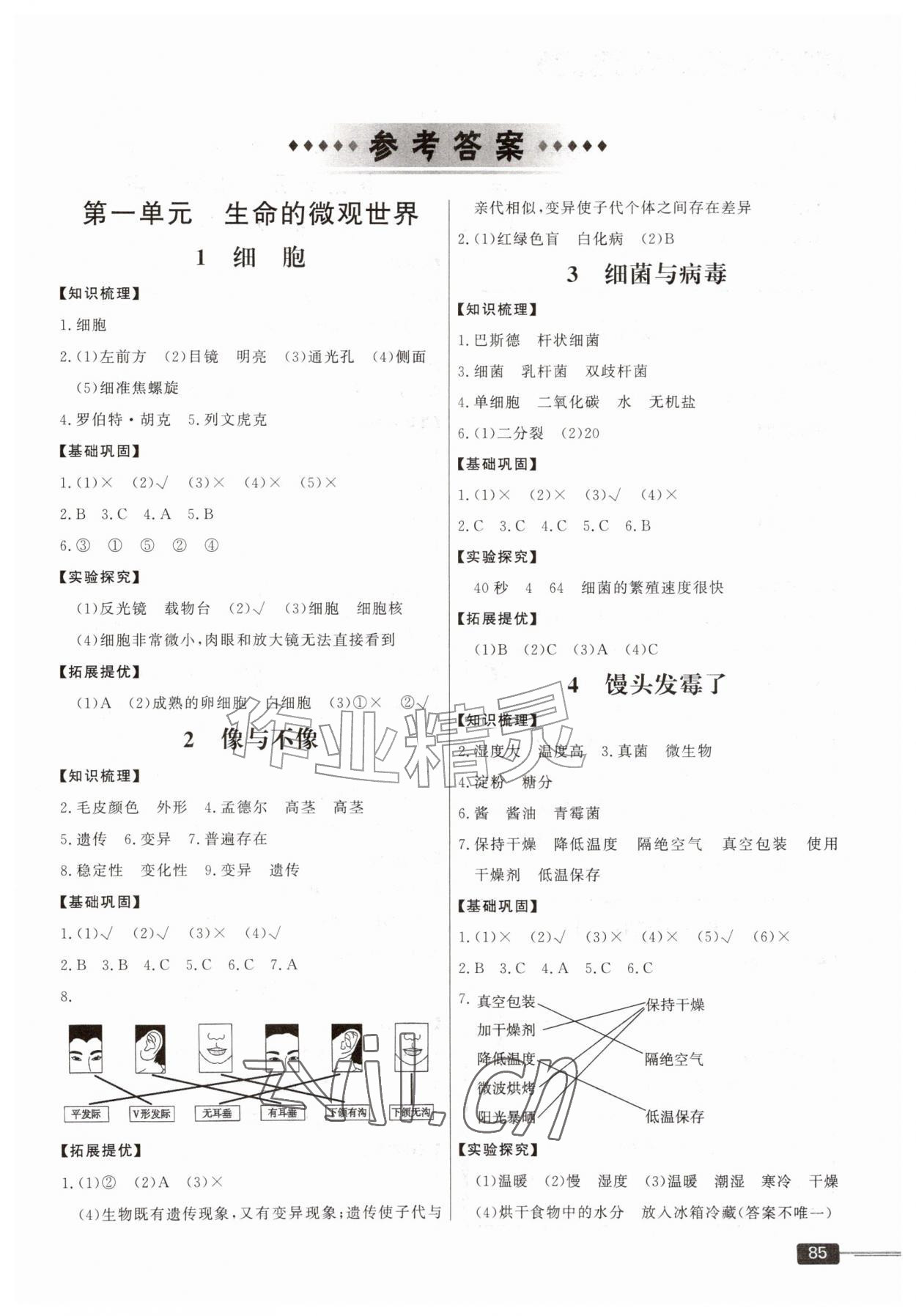 2026年同步练习山东文艺出版社六年级科学上册青岛版&nbsp;第1页