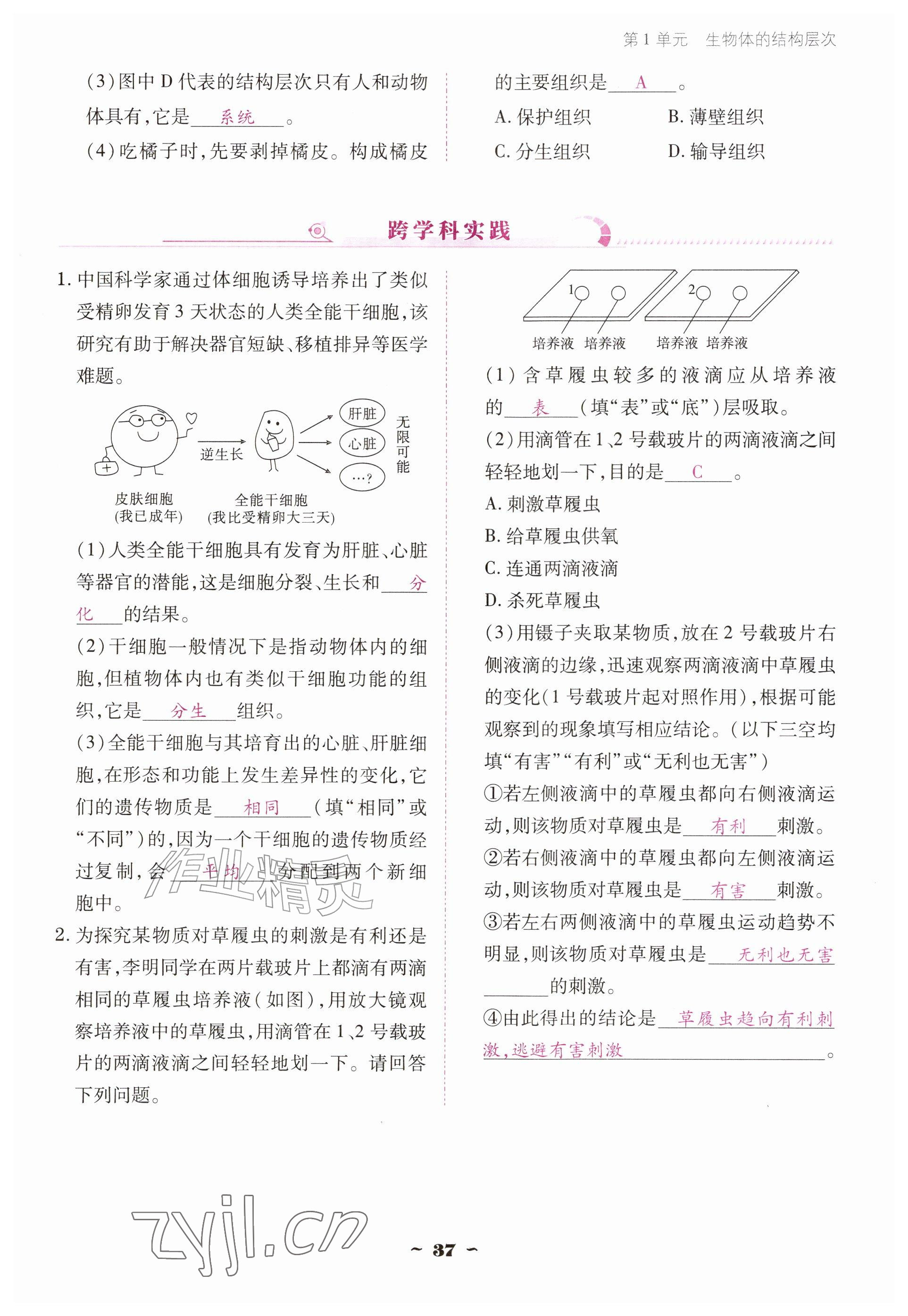2026年云南省标准教辅优佳学案七年级历史上册人教版&nbsp;参考答案第37页