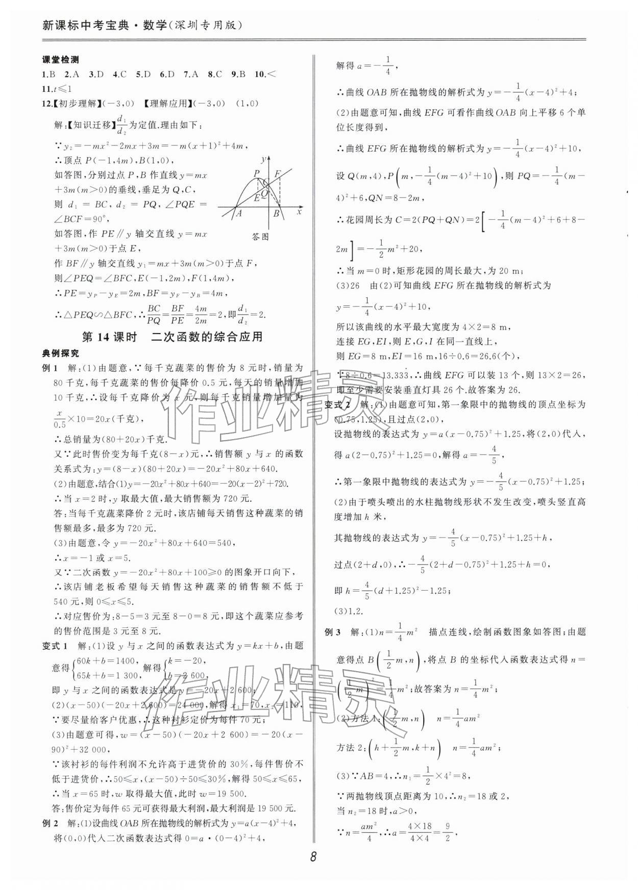 2026年新课标中考宝典数学深圳专版&nbsp;参考答案第8页