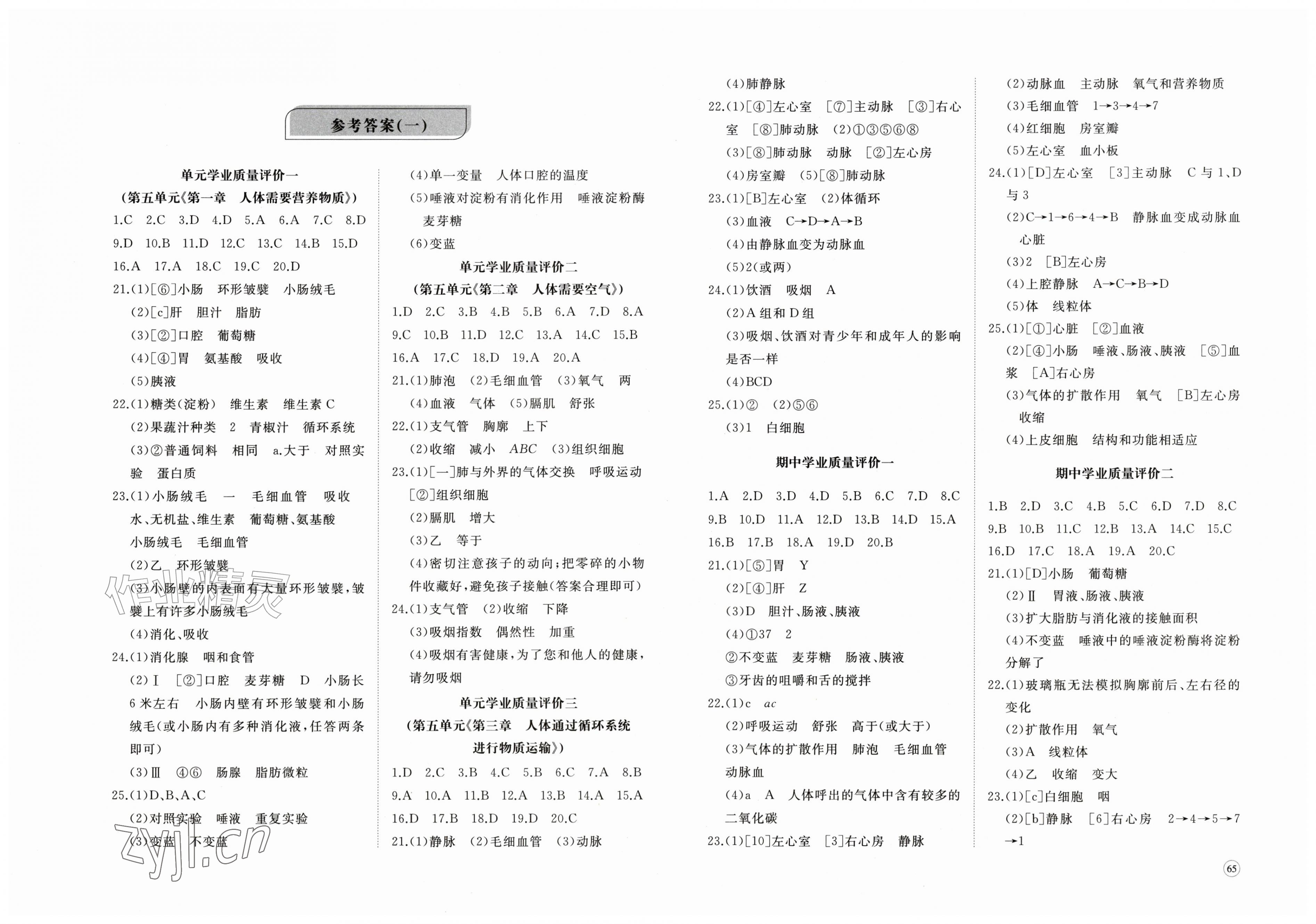 2026年精练课堂分层作业八年级生物上册济南版&nbsp;第1页