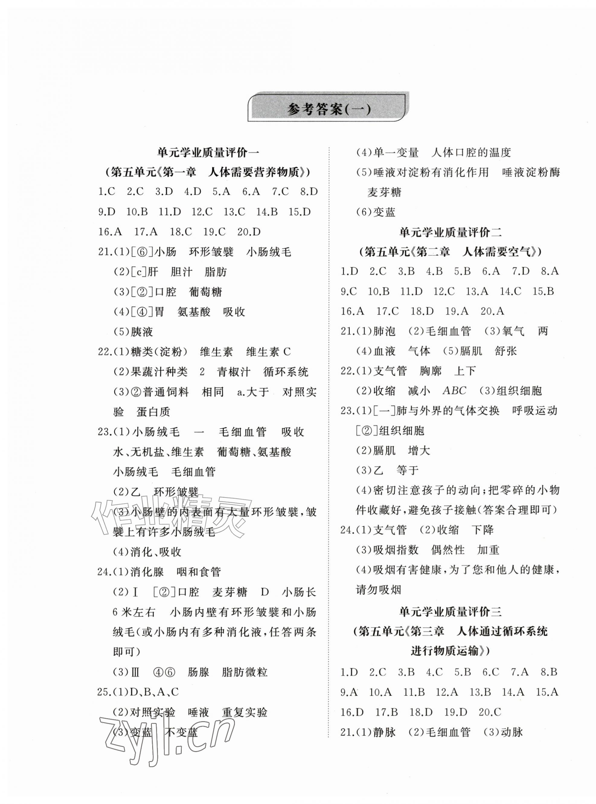2026年精练课堂分层作业八年级生物上册济南版&nbsp;第1页