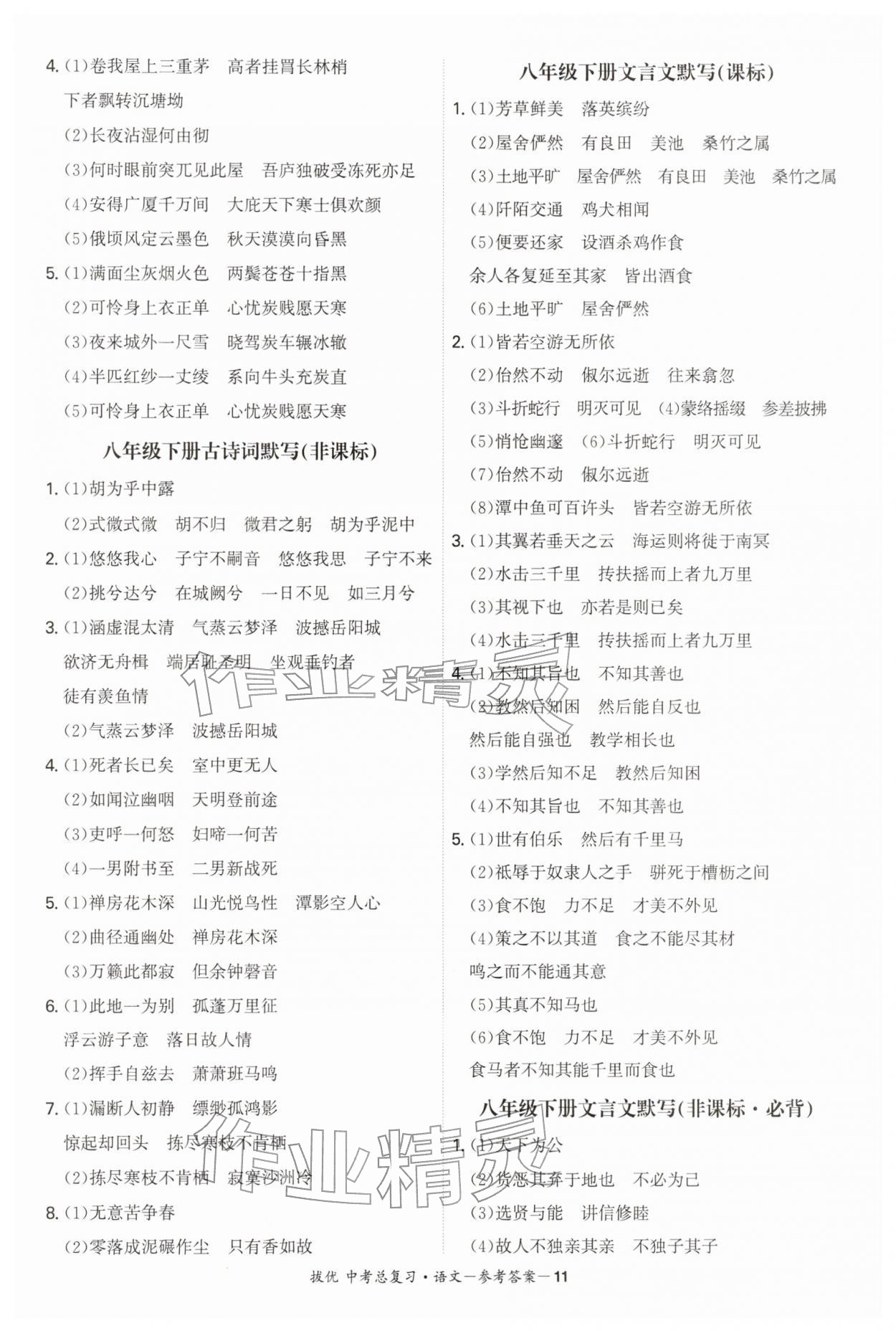2026年拔优中考总复习语文&nbsp;第11页