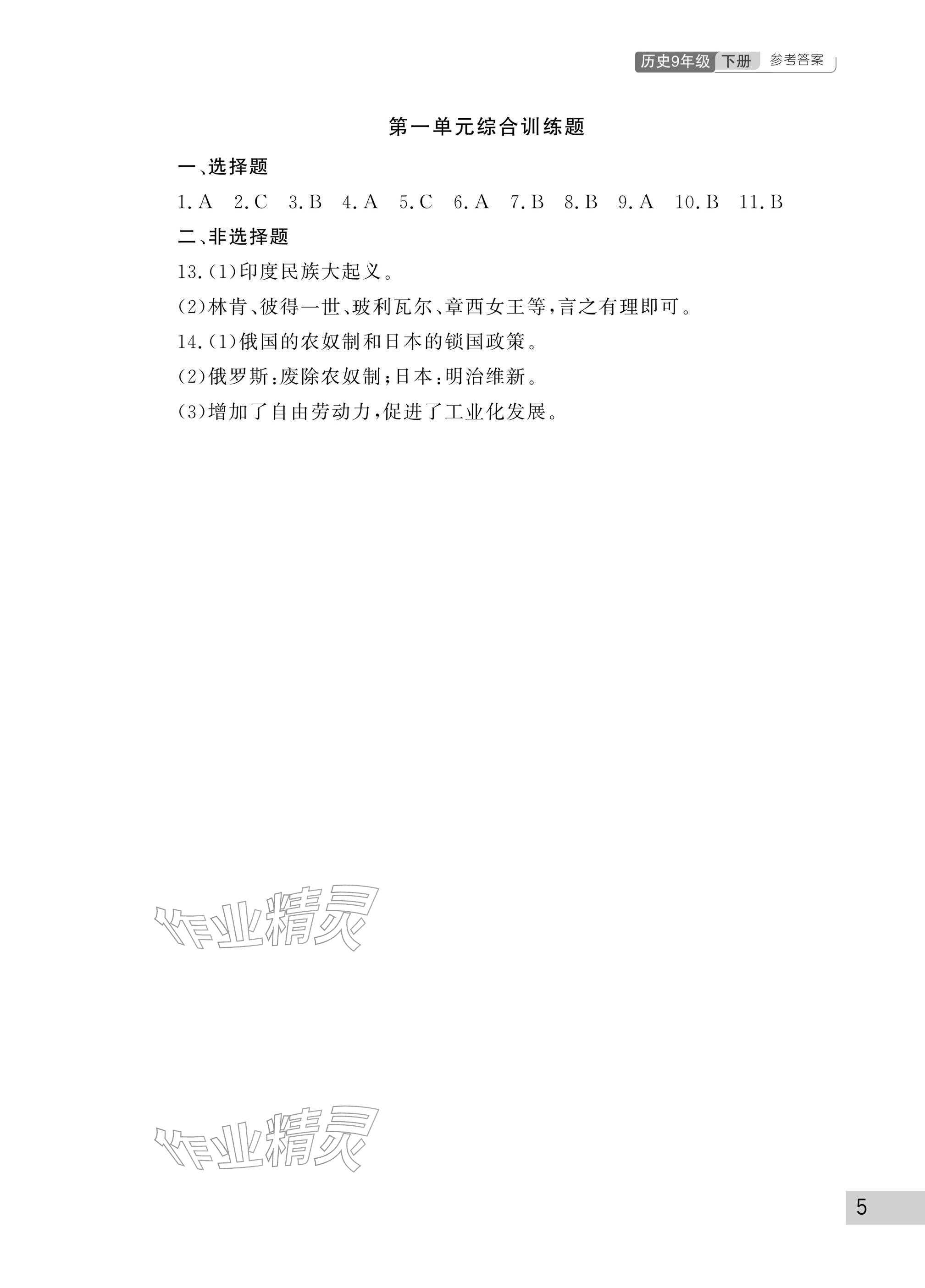 2026年课堂作业武汉出版社九年级历史下册人教版&nbsp;参考答案第5页