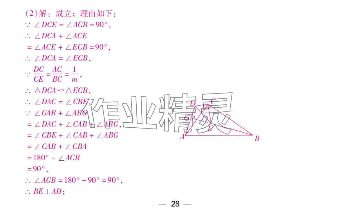 2024年激智数学中考&nbsp;参考答案第28页