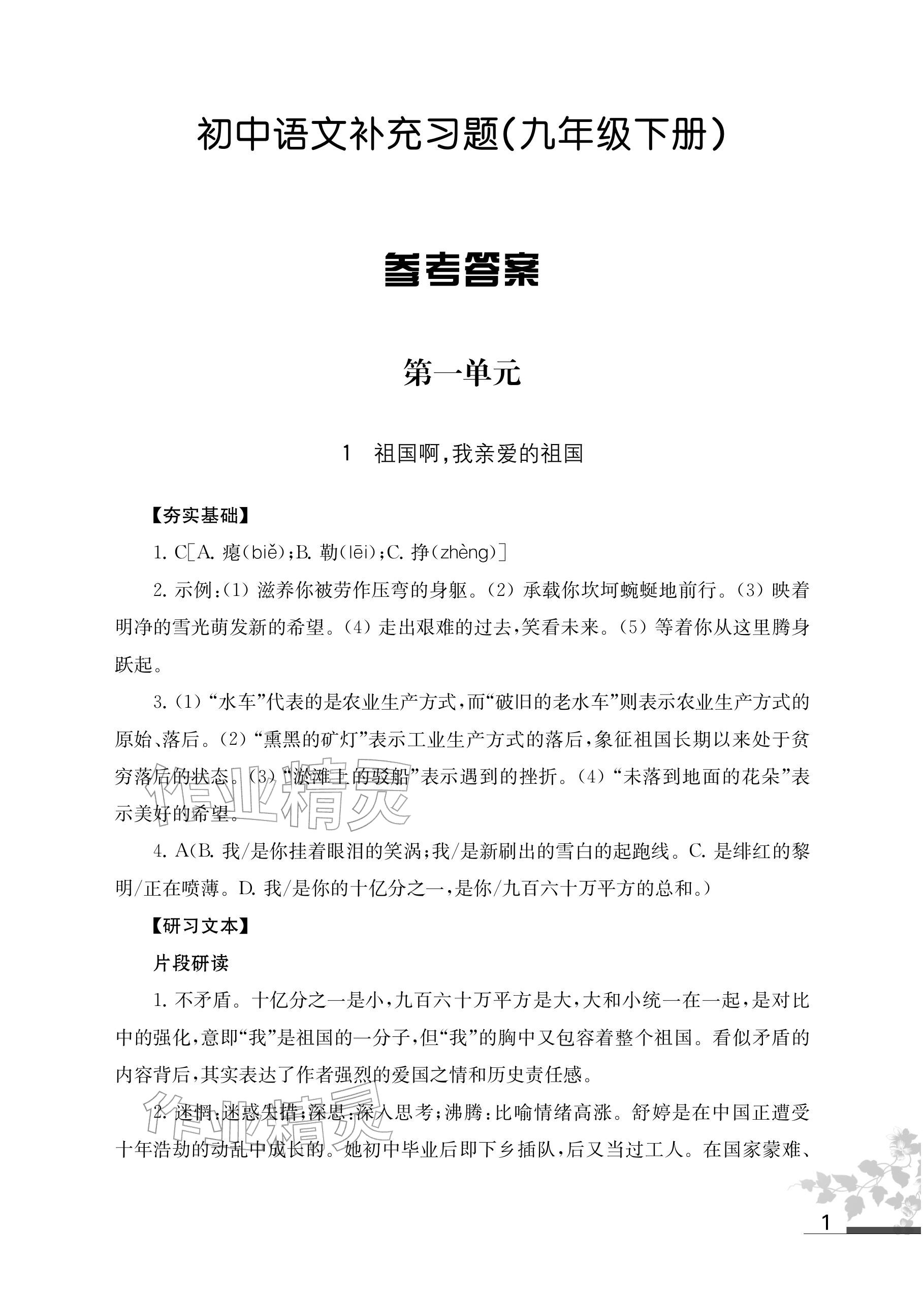 2026年补充习题江苏九年级语文下册人教版&nbsp;参考答案第1页
