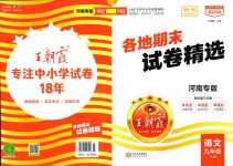 2024年王朝霞各地期末試卷精選九年級語文下冊人教版河南專版