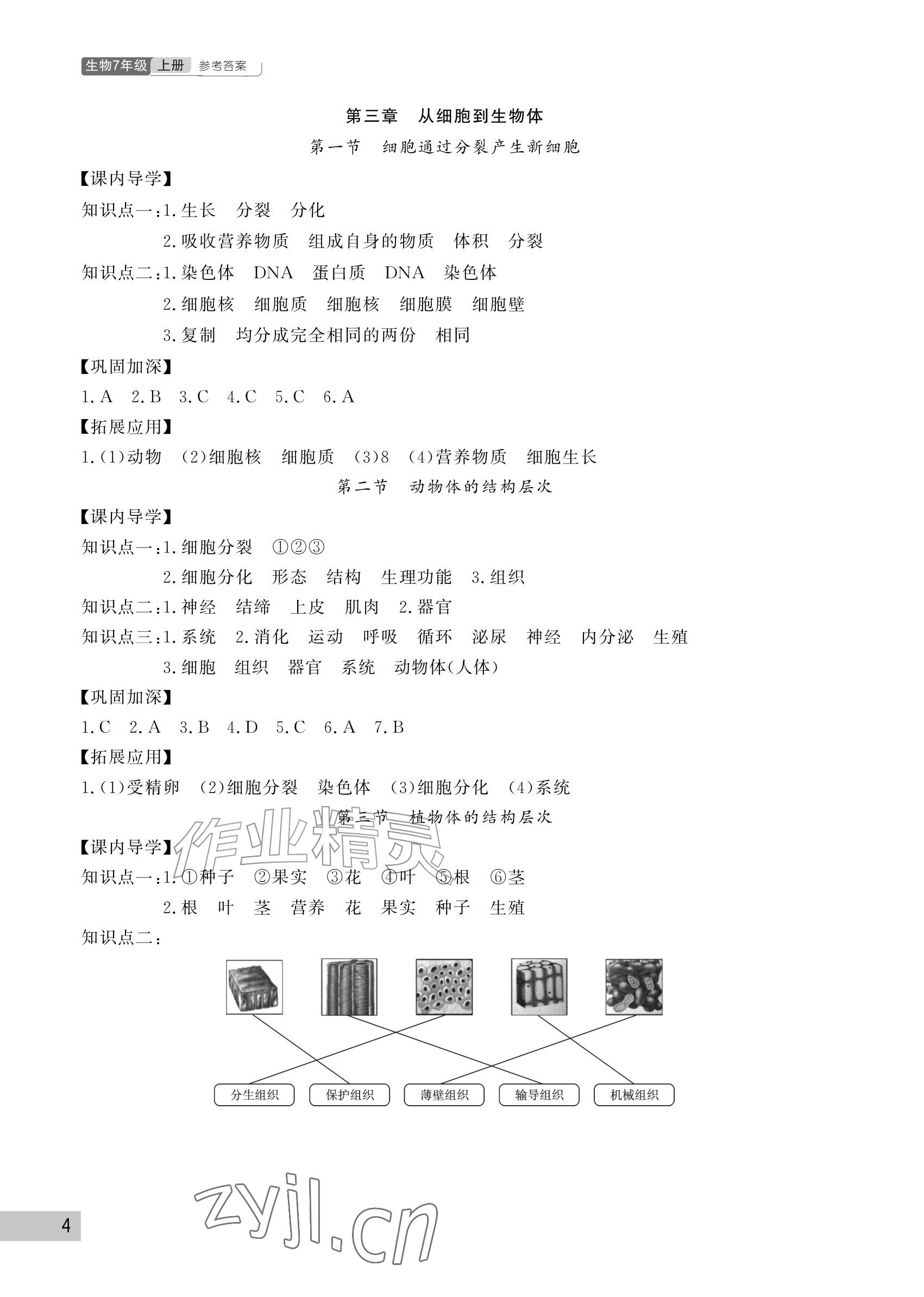 2026年课堂作业武汉出版社七年级生物上册人教版&nbsp;参考答案第4页
