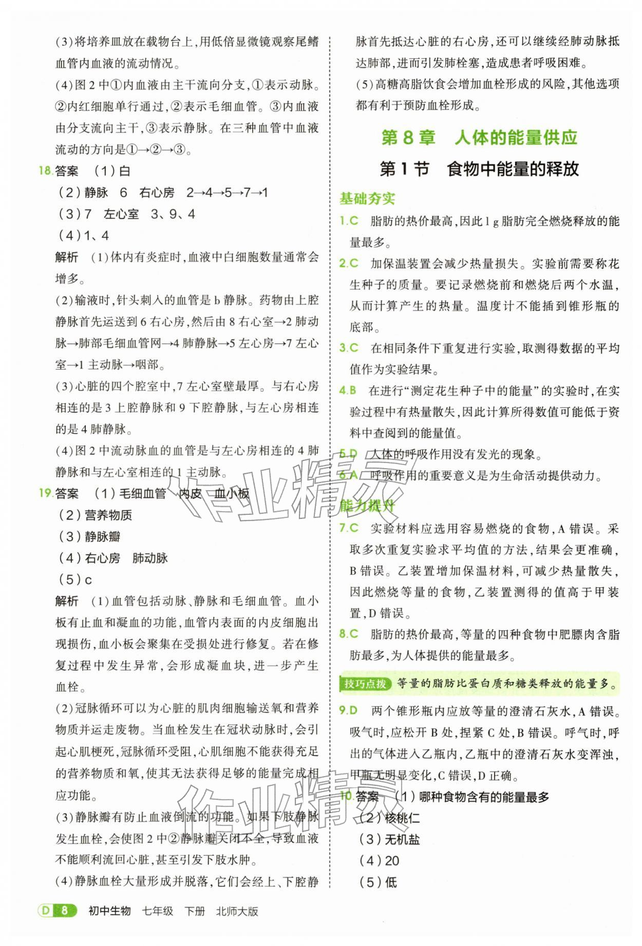 2026年5年中考3年模拟七年级生物下册北师大版&nbsp;参考答案第8页