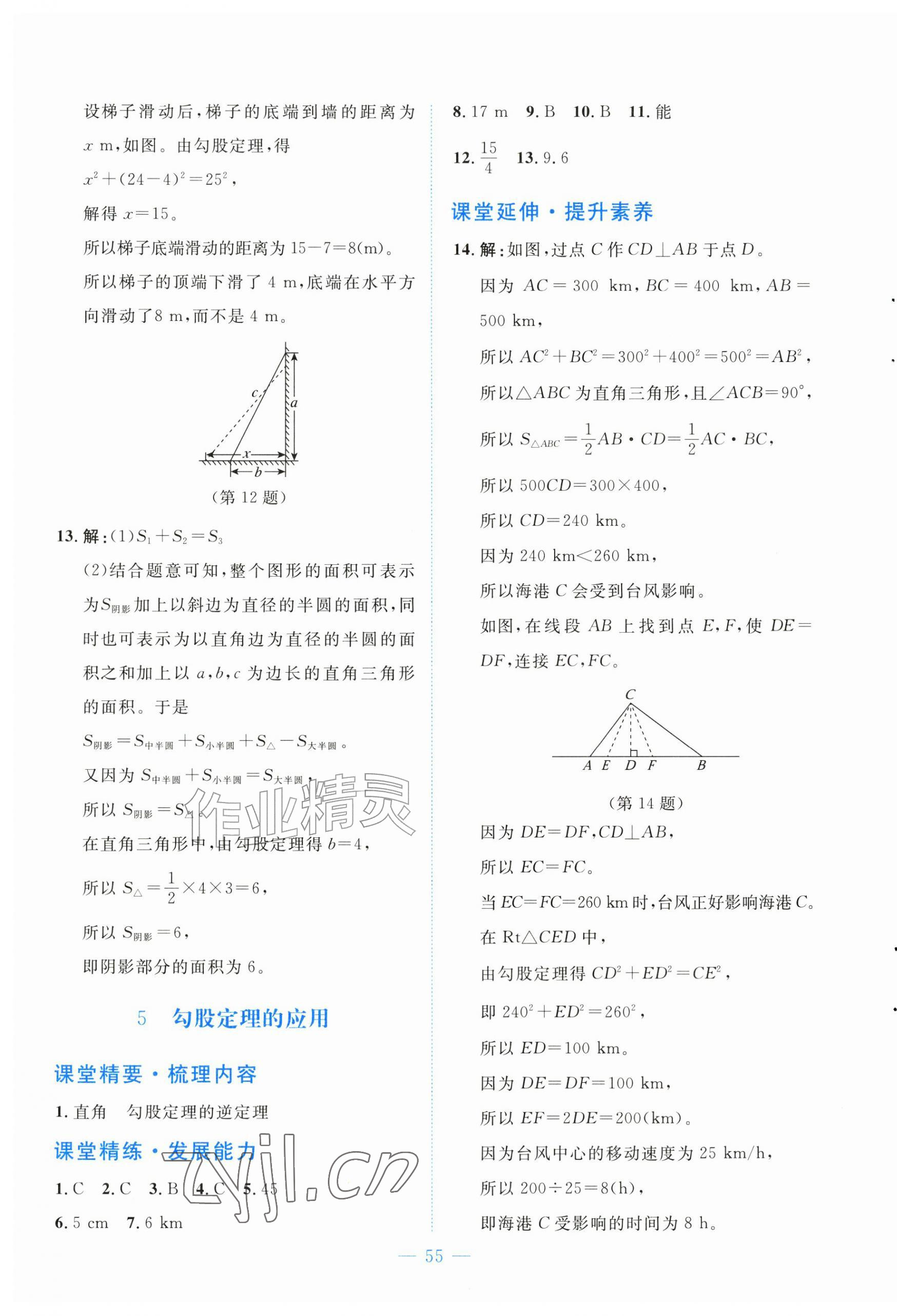 2026年课堂精练八年级数学上册北师大版黑龙江专版&nbsp;第3页