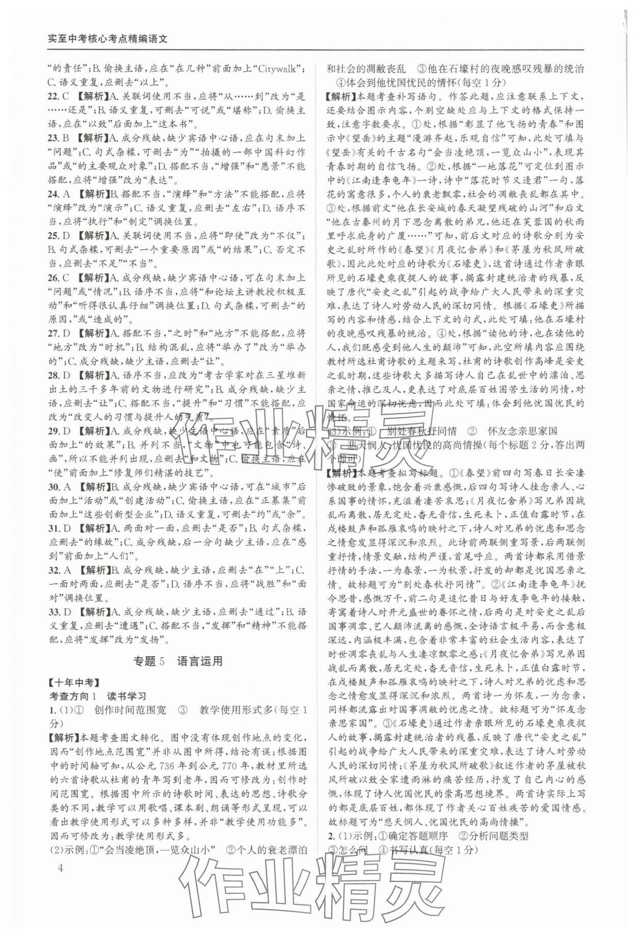 2025年实至中考核心考点精编语文中考成都专版&nbsp;第4页