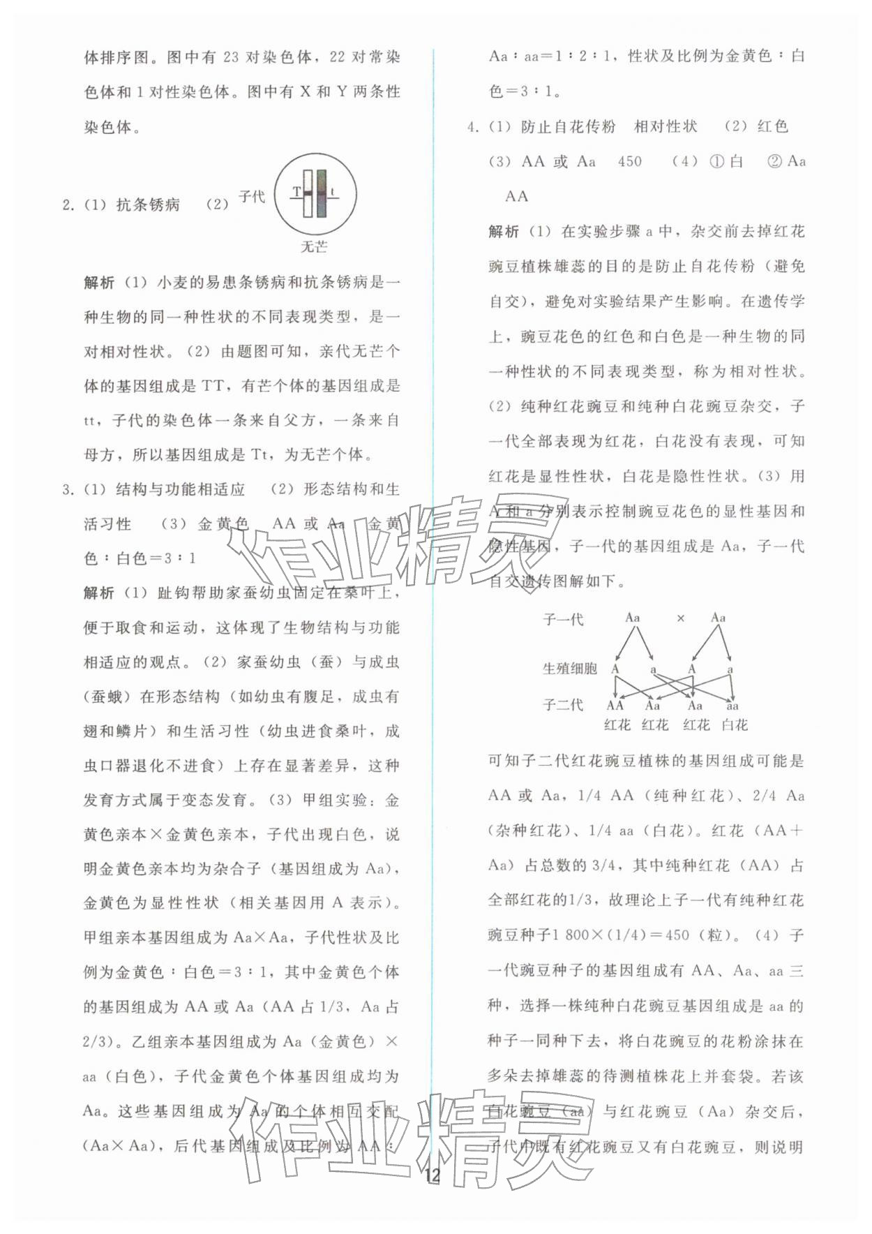 2026年同步轻松练习八年级生物下册人教版&nbsp;参考答案第11页