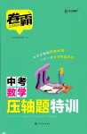 2024年金太陽(yáng)教育卷霸壓軸題特訓(xùn)數(shù)學(xué)中考