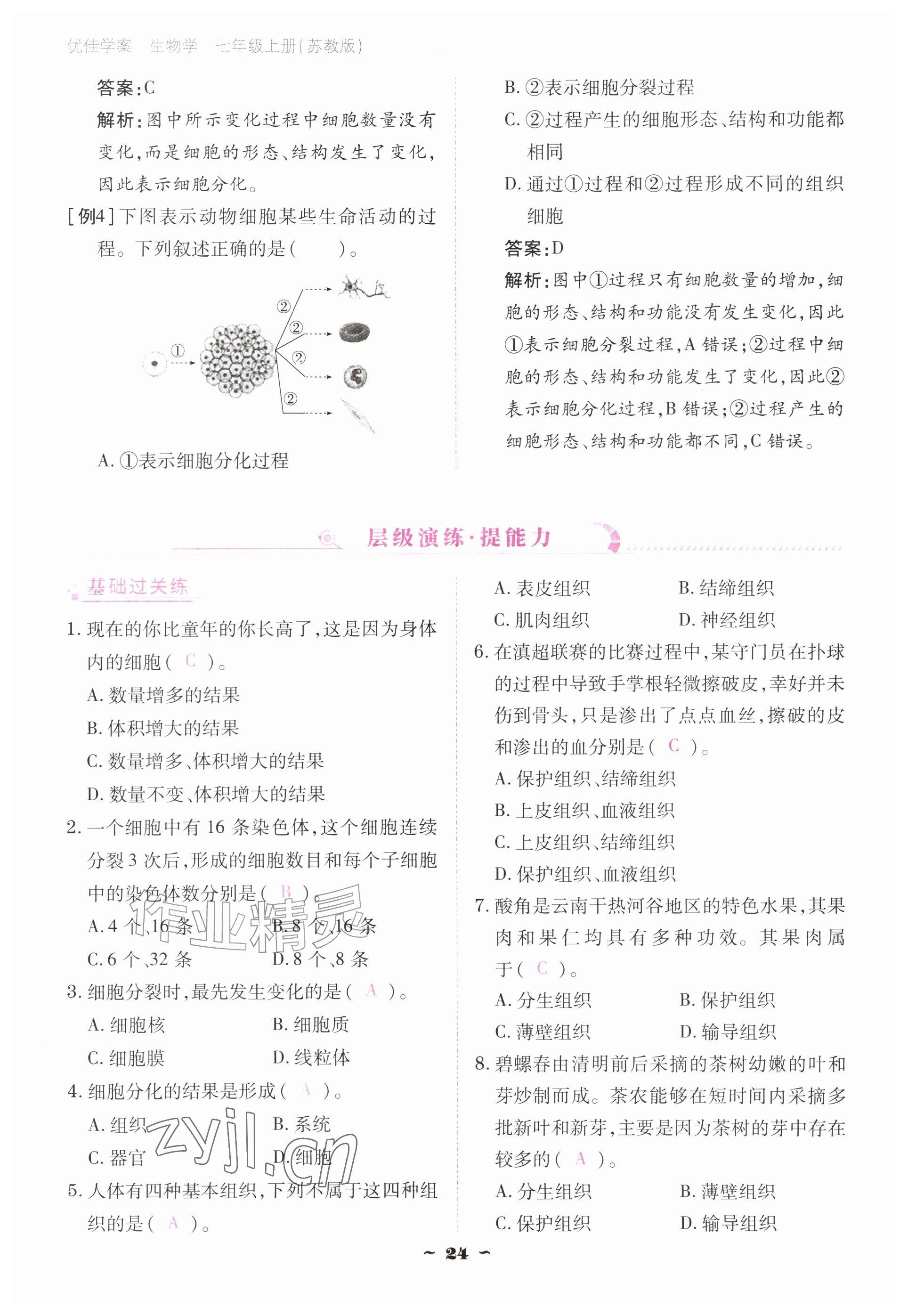 2026年云南省标准教辅优佳学案七年级历史上册人教版&nbsp;参考答案第24页