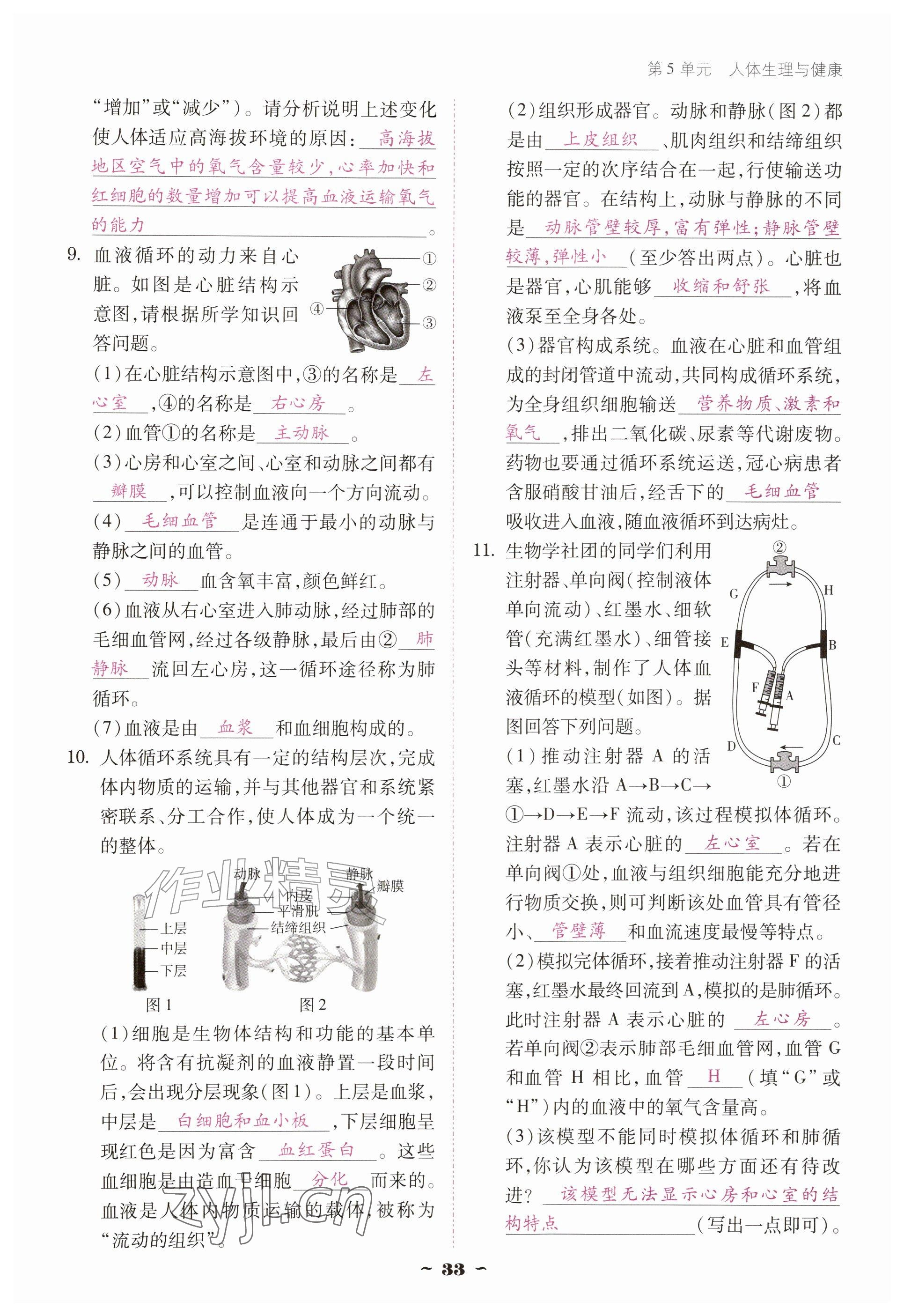 2026年优佳学案（云南）八年级生物上册苏教版&nbsp;参考答案第33页