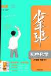 2024年少年班九年級化學(xué)下冊科粵版