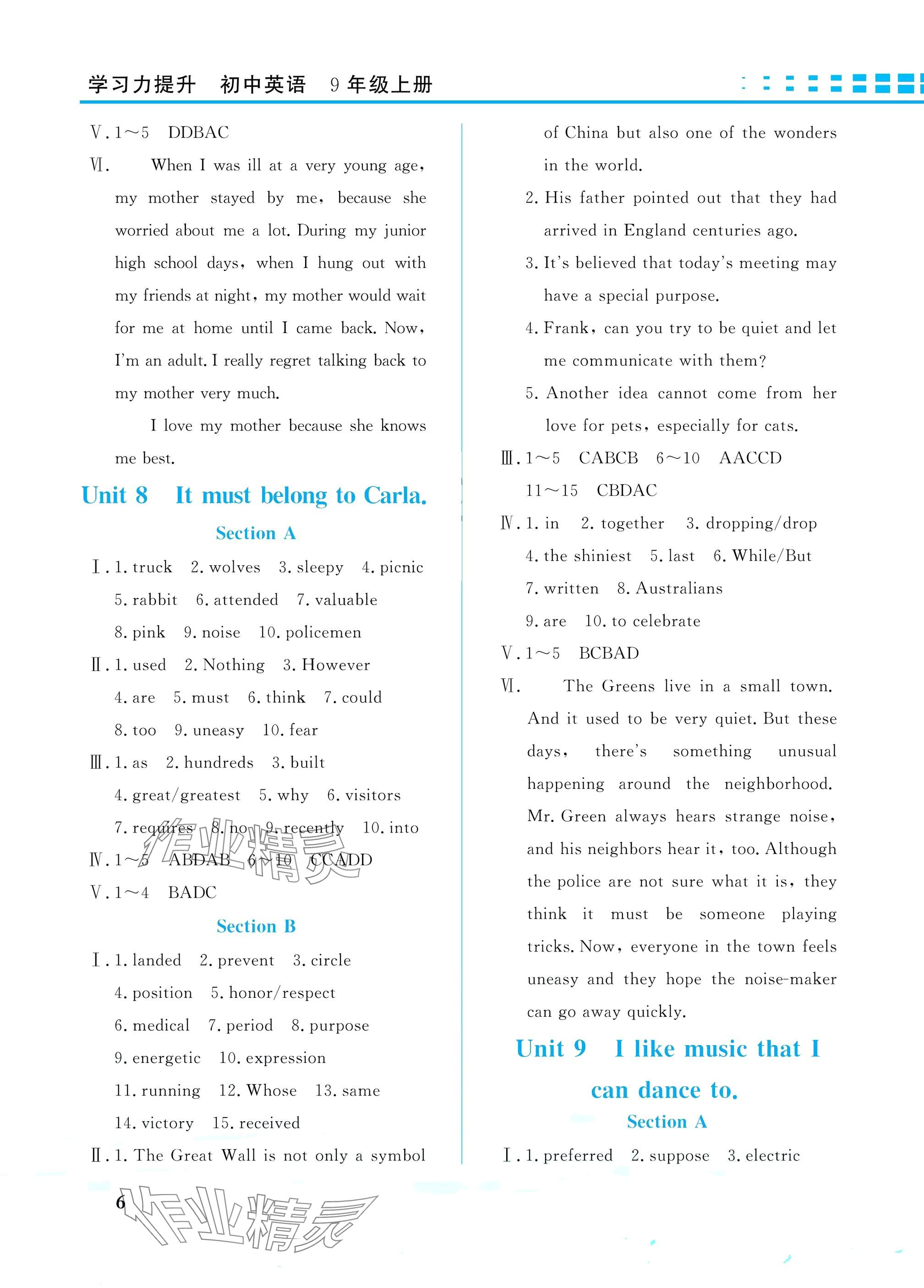 2025年学习力提升九年级英语上册人教版&nbsp;参考答案第6页