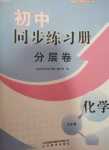 2024年同步練習(xí)冊(cè)分層卷九年級(jí)化學(xué)全一冊(cè)魯教版