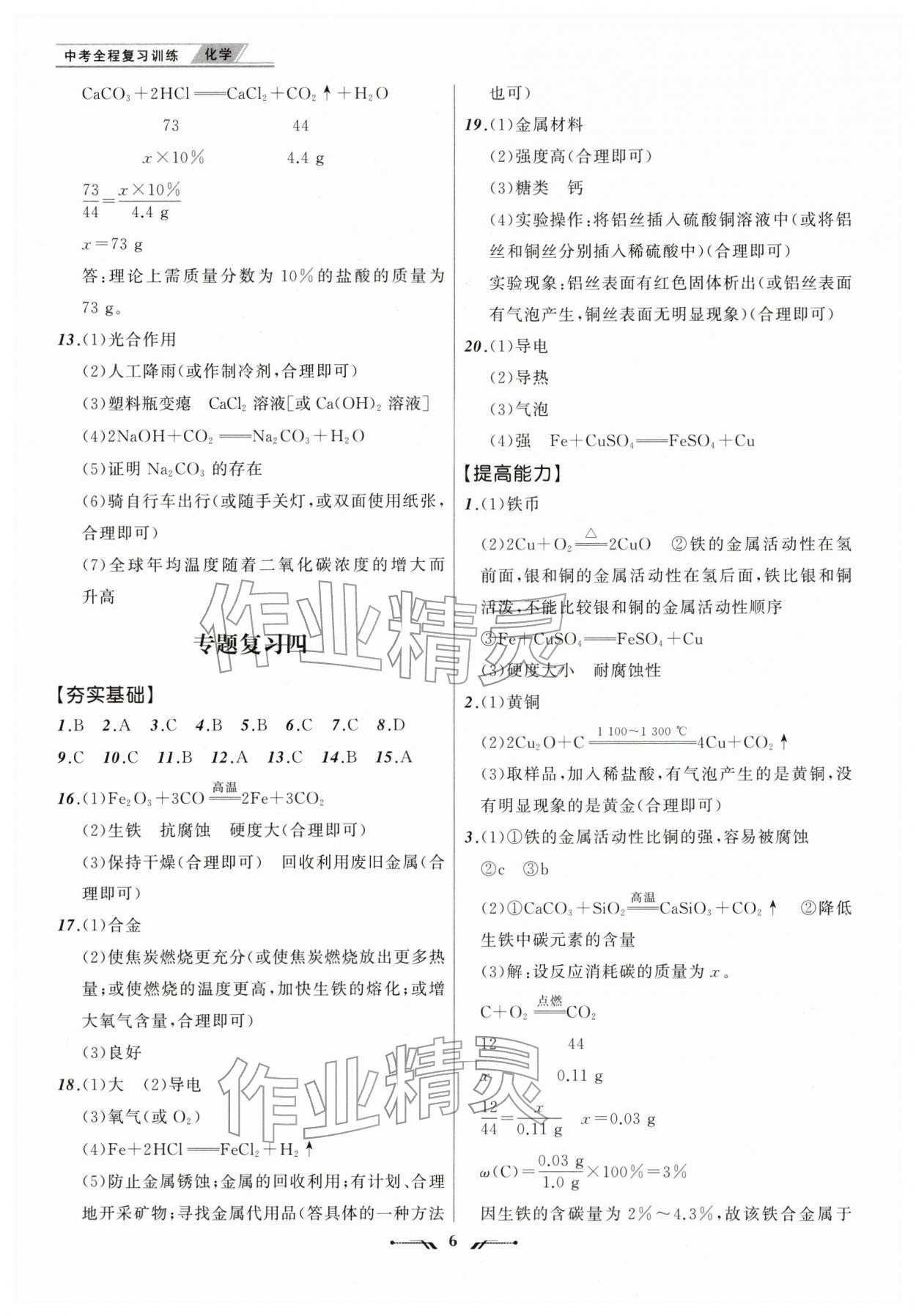 2026年中考全程复习训练化学&nbsp;第6页