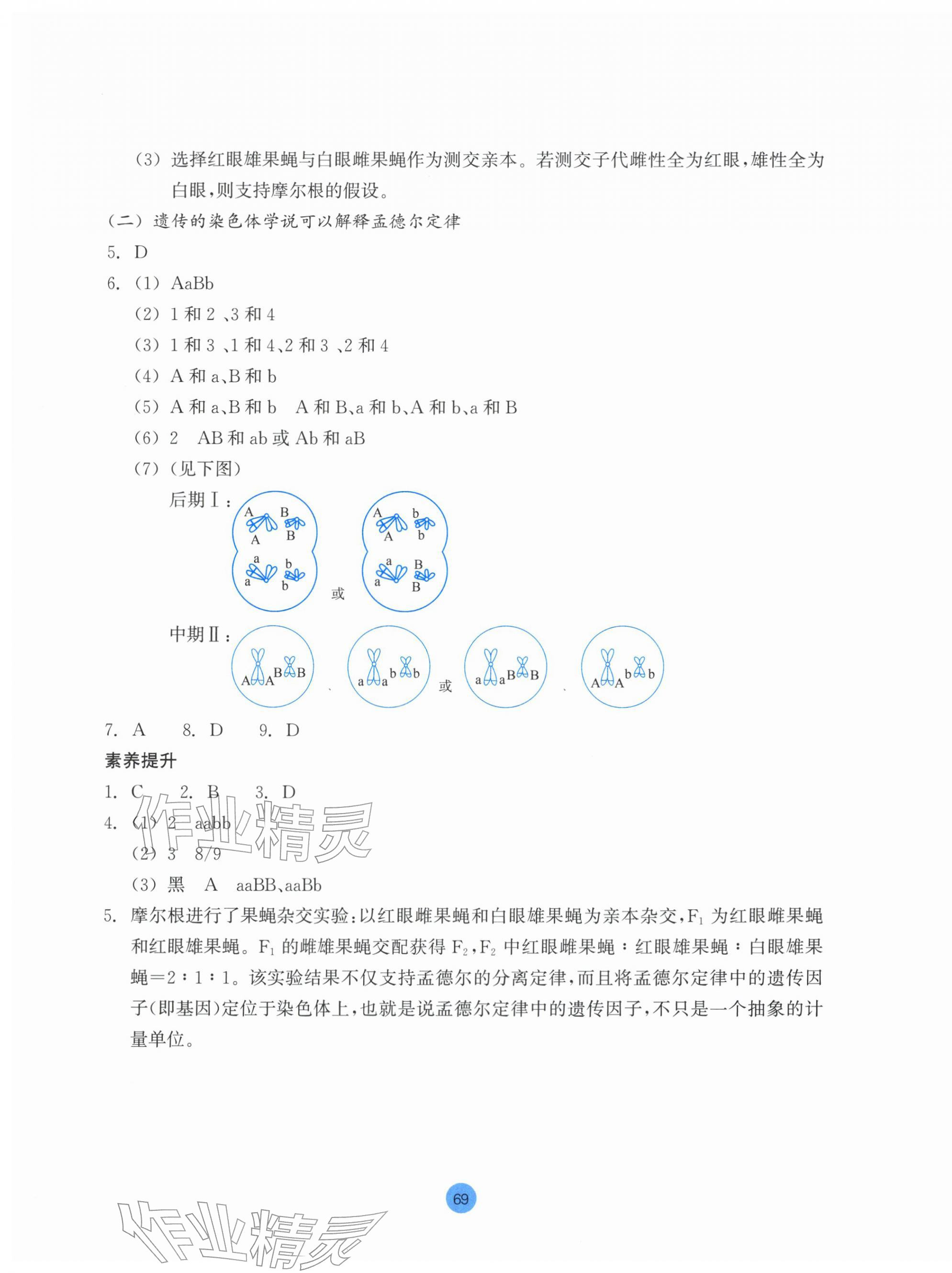 2026年作业本浙江教育出版社高中生物必修2双色版浙科版&nbsp;参考答案第5页