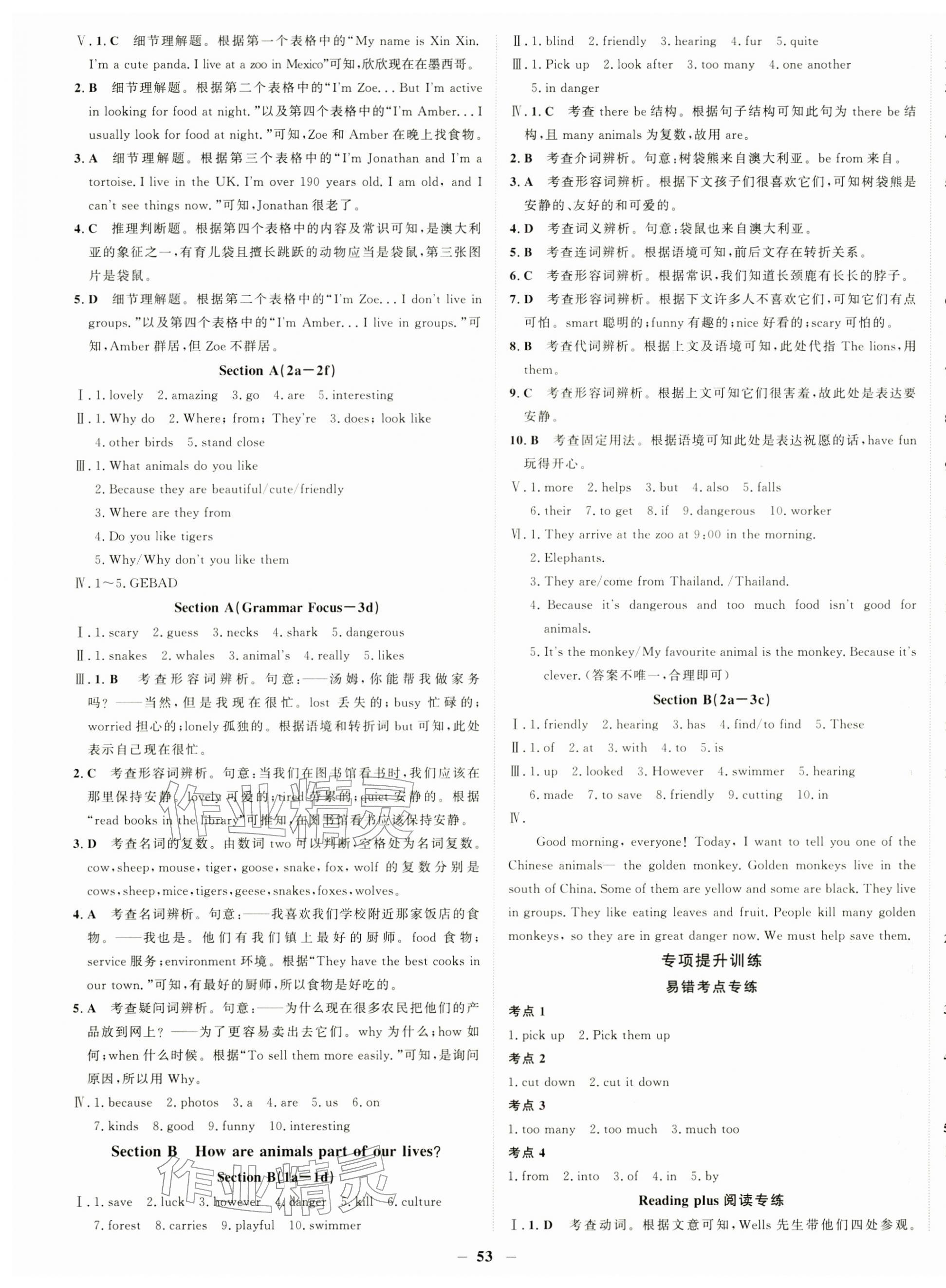 2026年世纪金榜金榜学案七年级英语下册人教版&nbsp;第5页