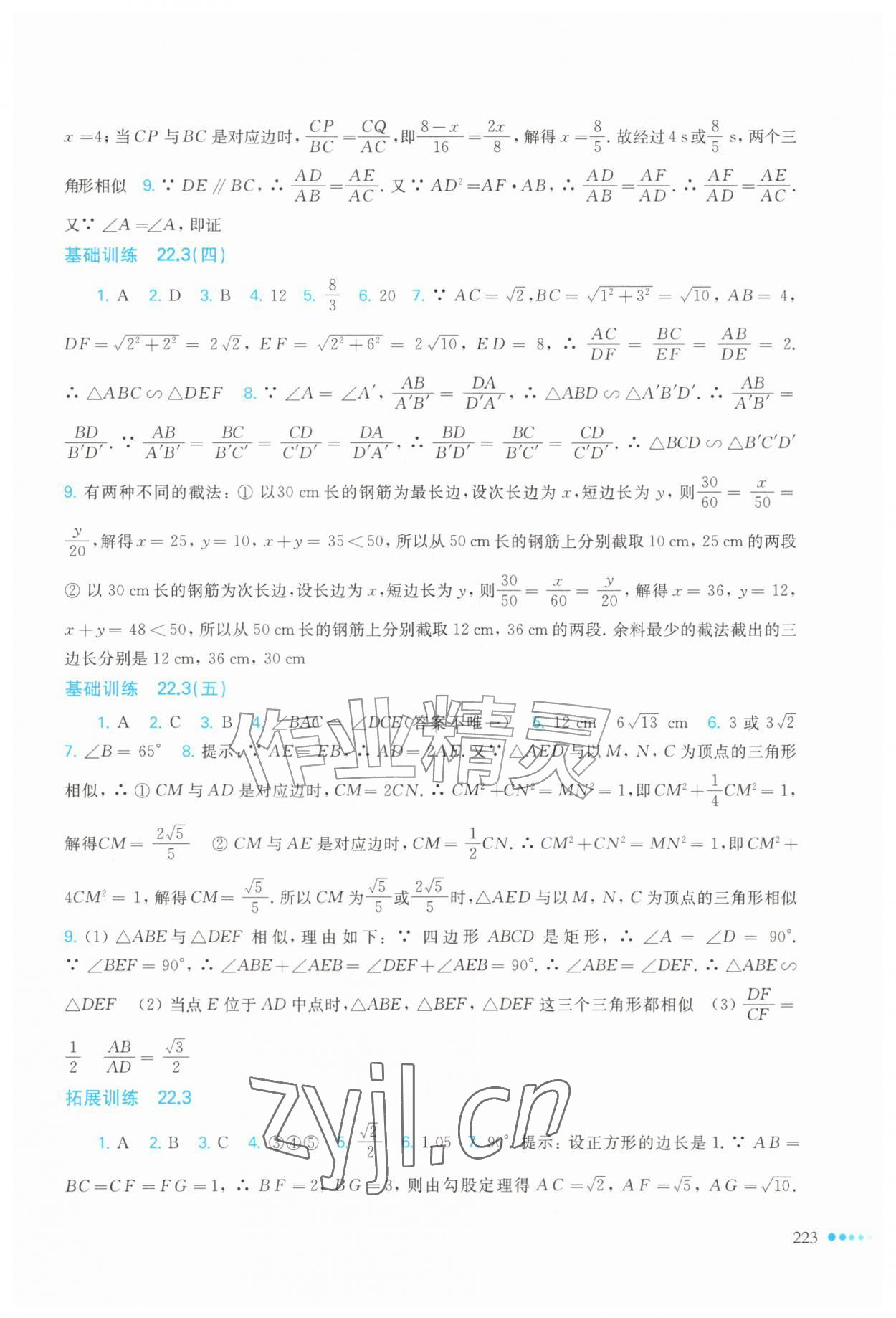 2026年同步作业本延边教育出版社九年级数学全一册沪科版&nbsp;参考答案第8页