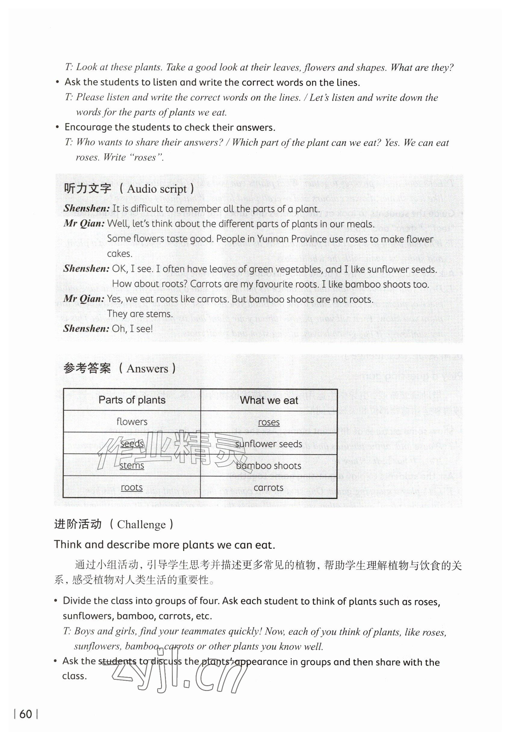 2026年教材课本五年级英语上册沪教版五四制&nbsp;参考答案第60页