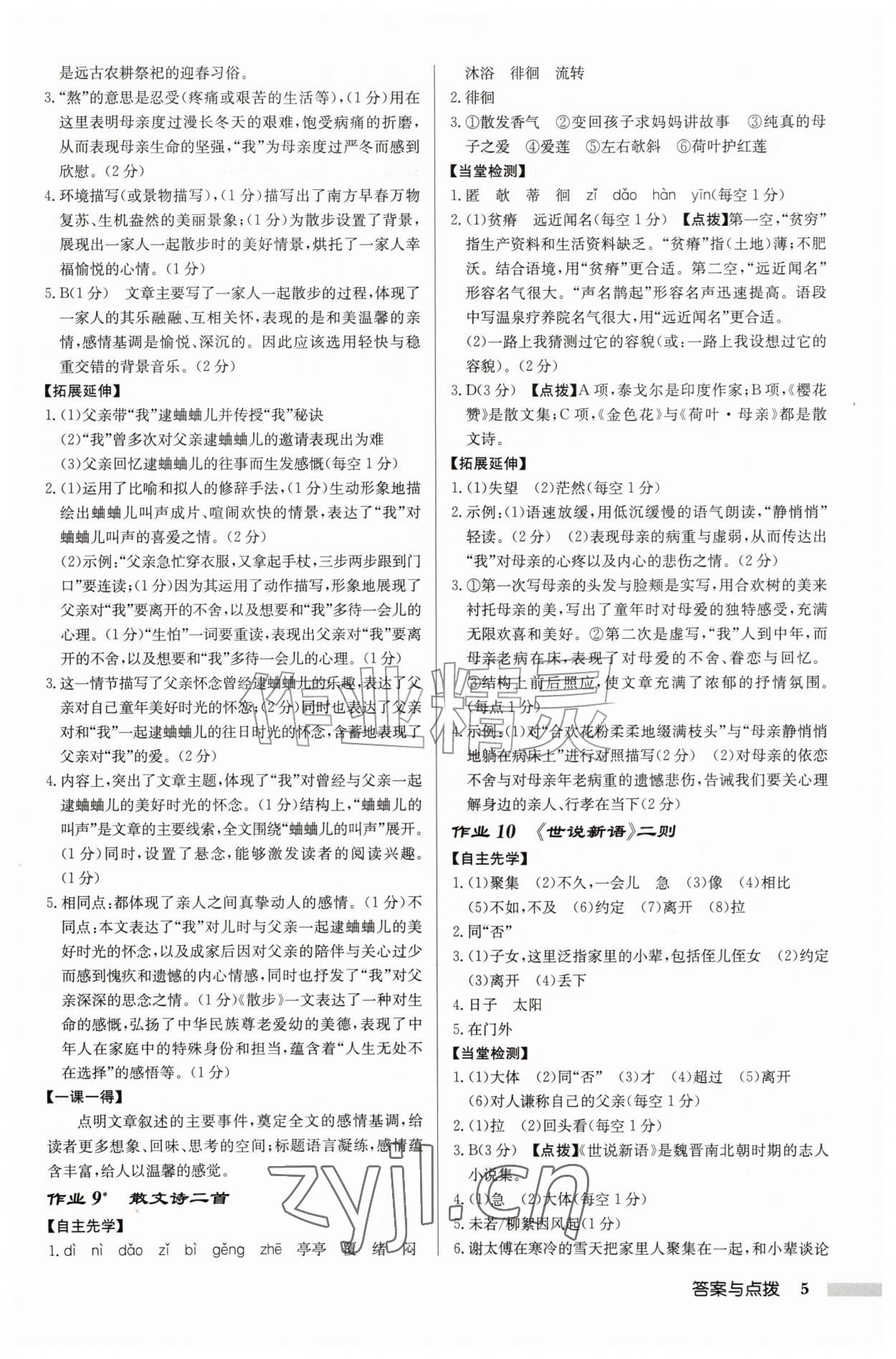 2026年启东中学作业本七年级语文上册人教版徐州专版&nbsp;参考答案第5页