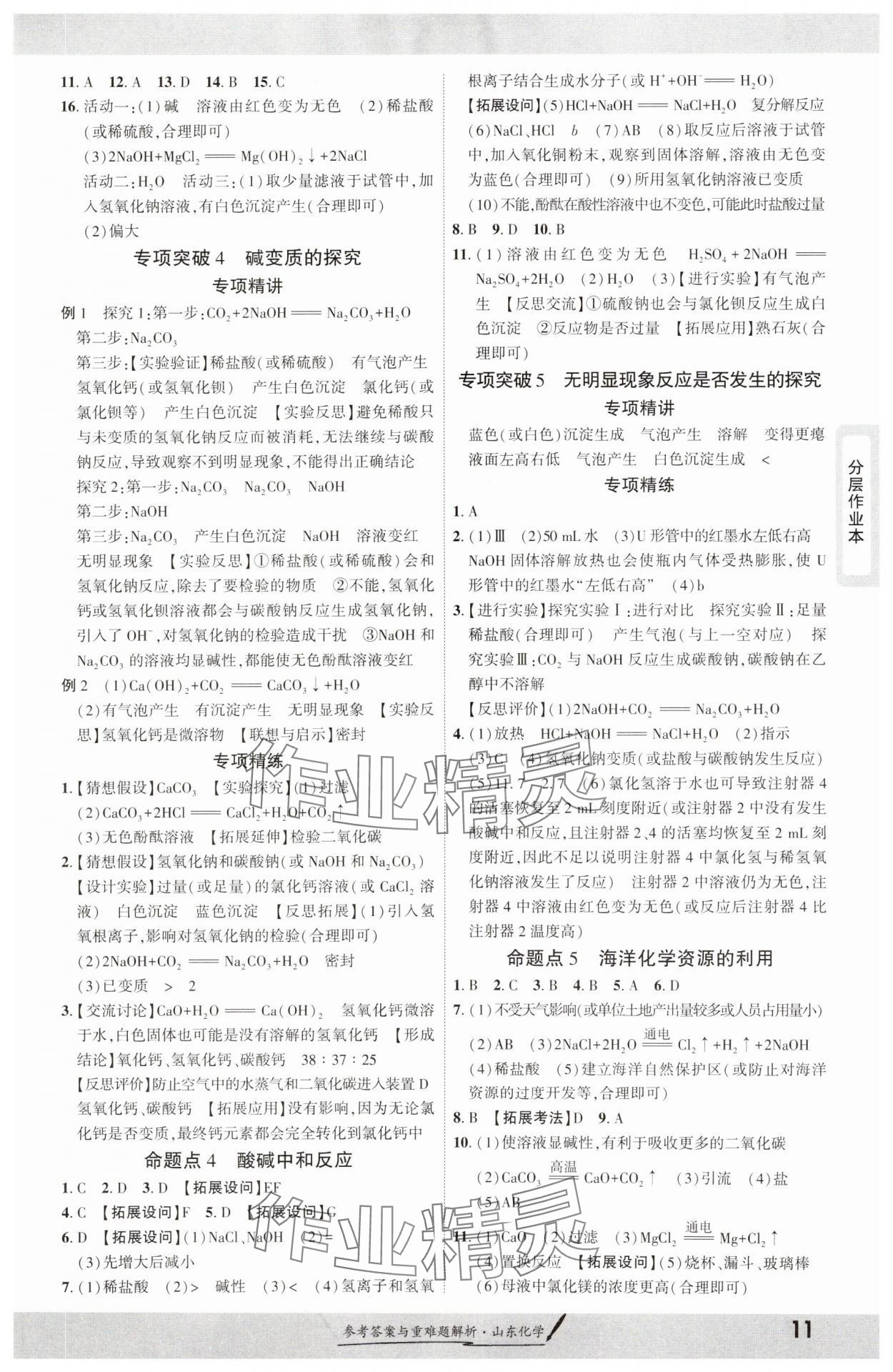 2025年一战成名新中考化学山东专版&nbsp;参考答案第10页