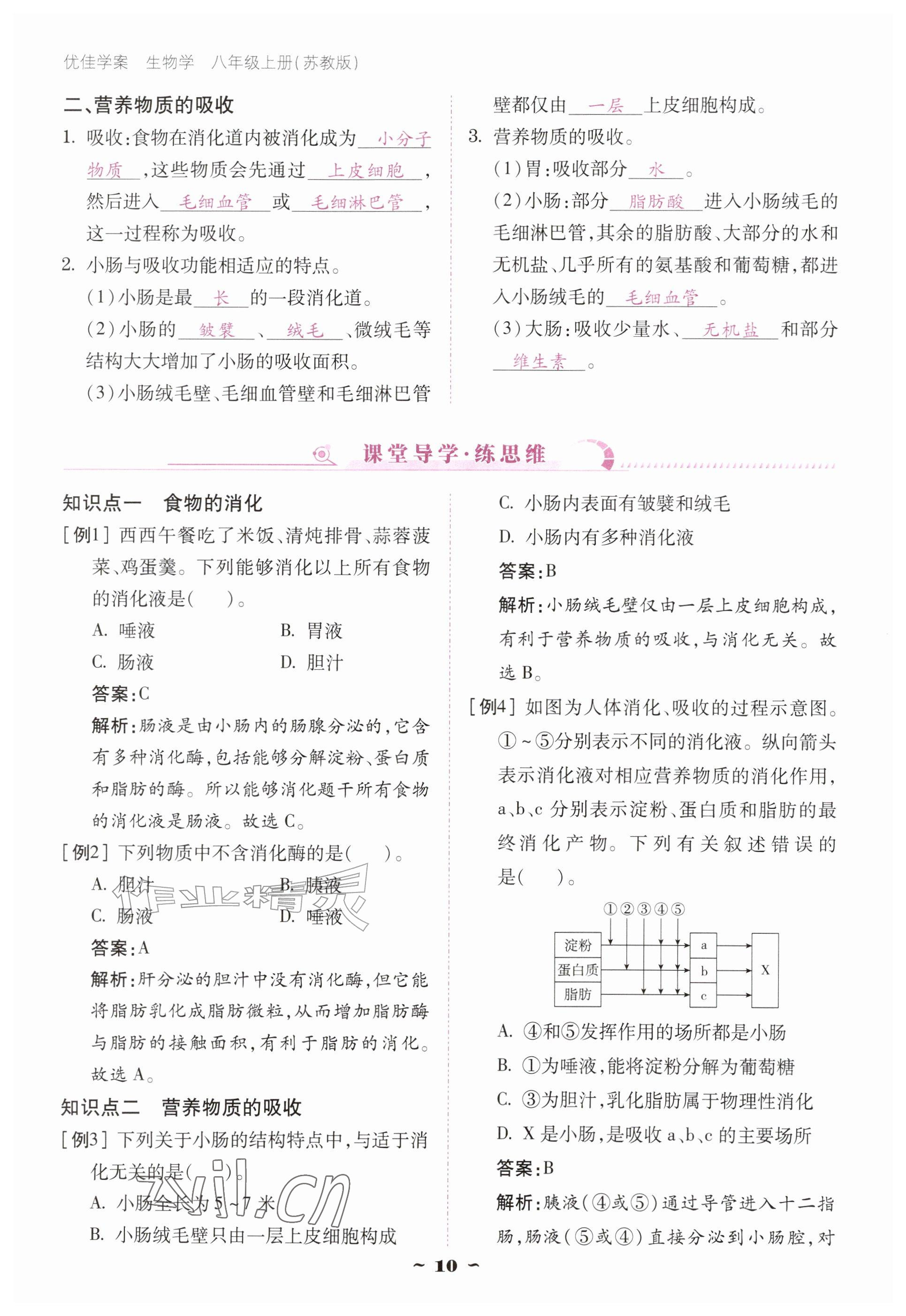 2026年优佳学案（云南）八年级生物上册苏教版&nbsp;参考答案第10页