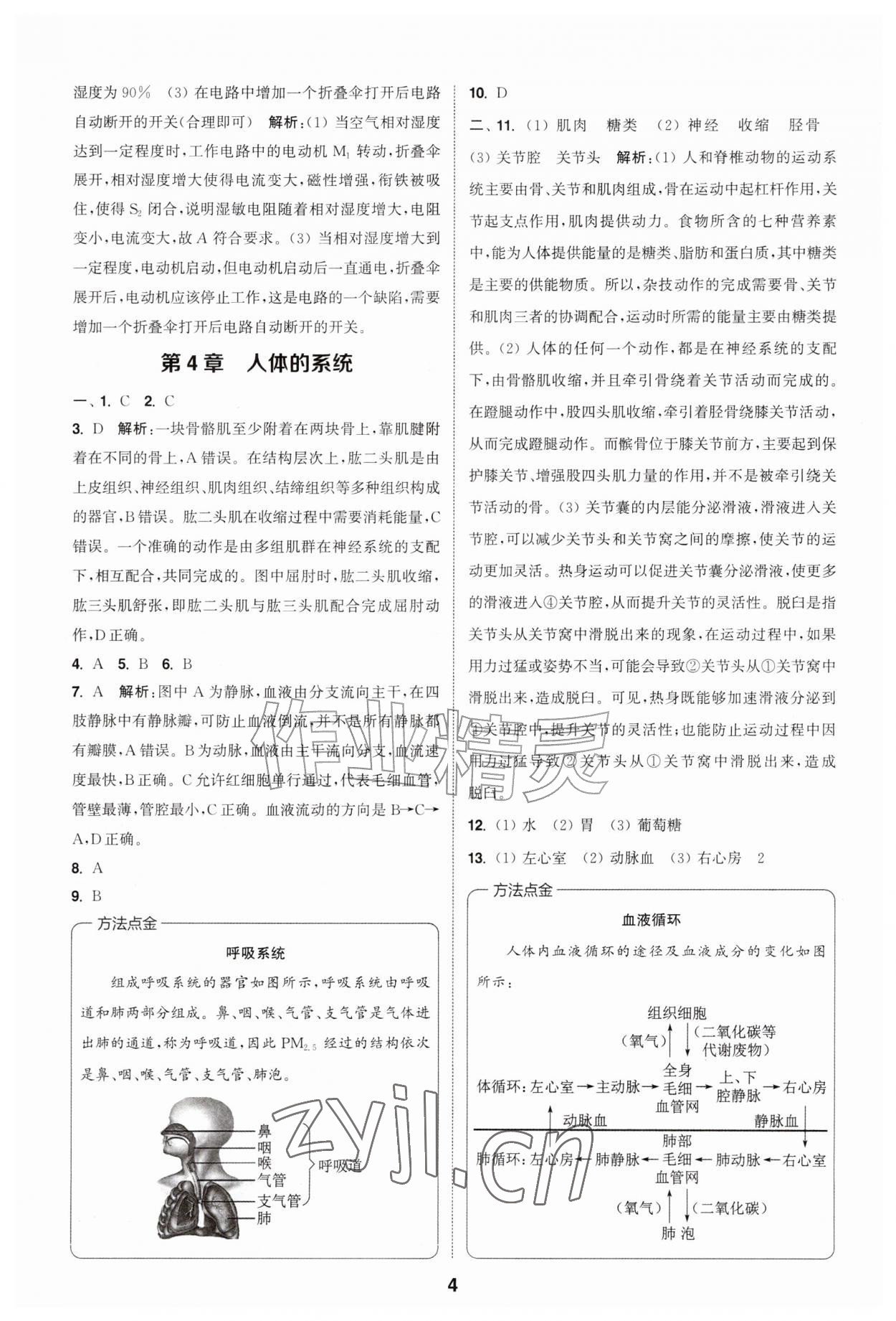 2026年暑期升级训练浙江教育出版社八年级科学浙教版&nbsp;第4页