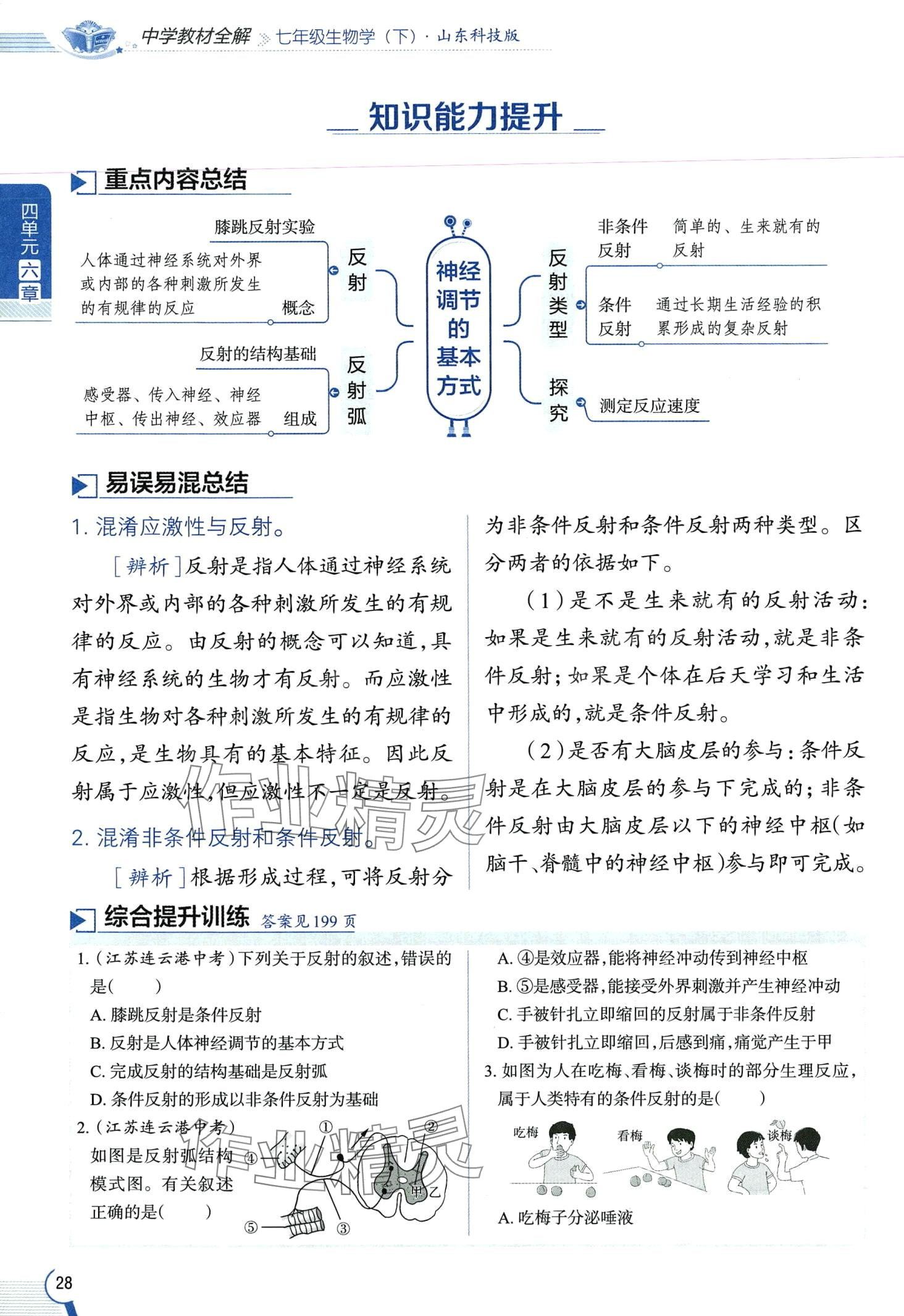 2024年教材课本七年级生物下册鲁科版&nbsp;第28页