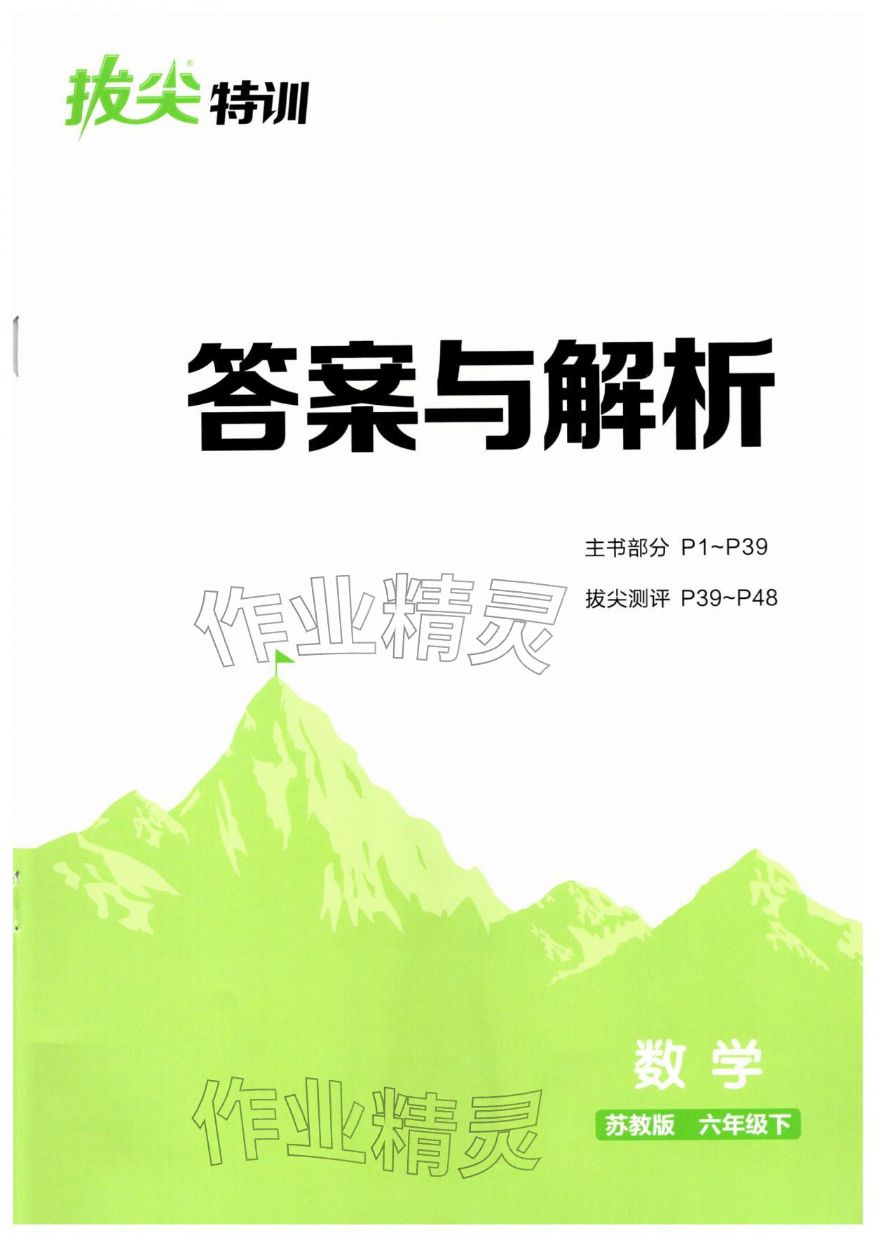 2026年拔尖特训六年级数学下册苏教版&nbsp;第1页