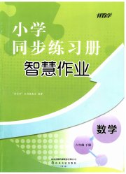 同步练习册智慧作业六年级数学人教版