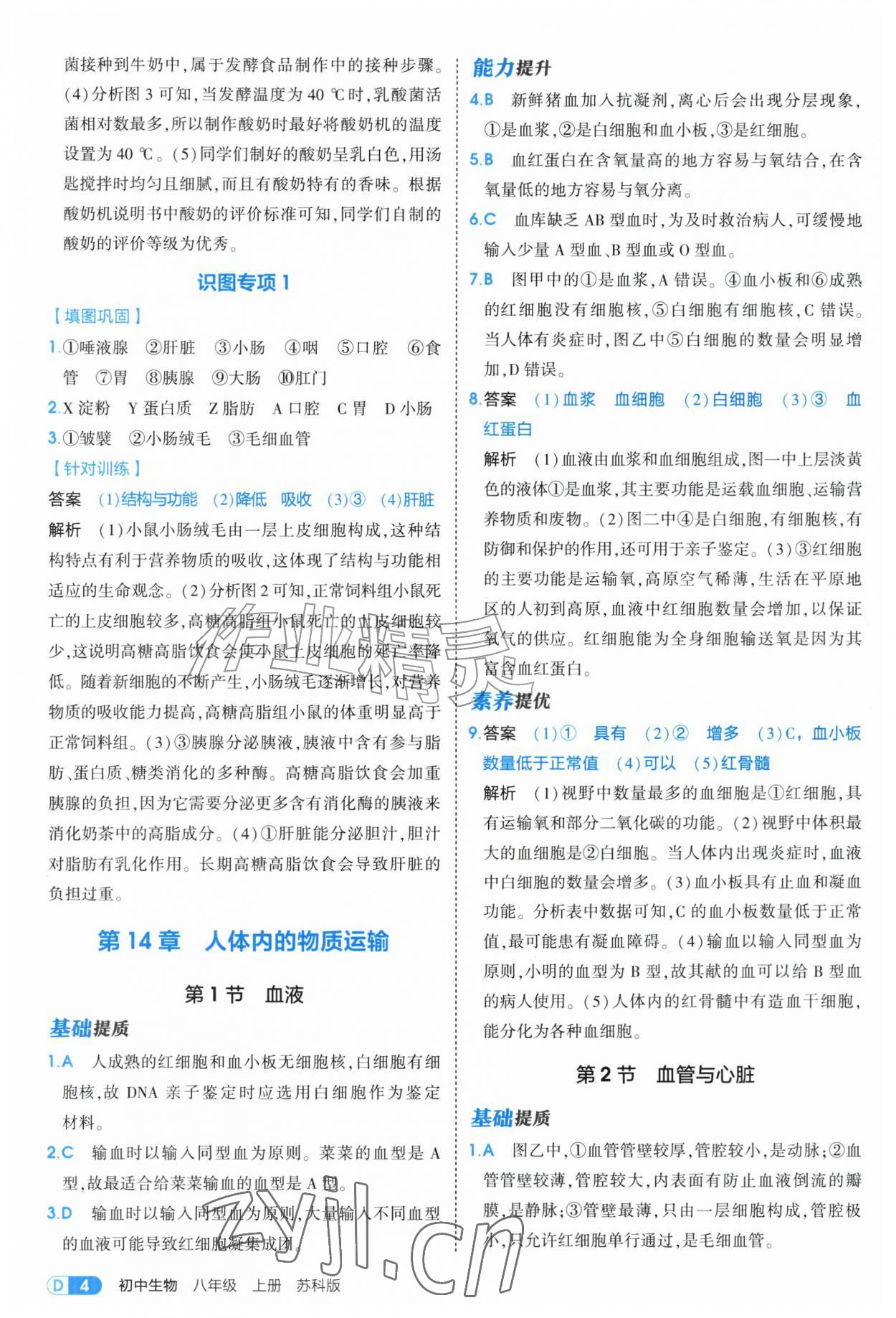 2026年5年中考3年模拟八年级生物上册苏科版&nbsp;第4页