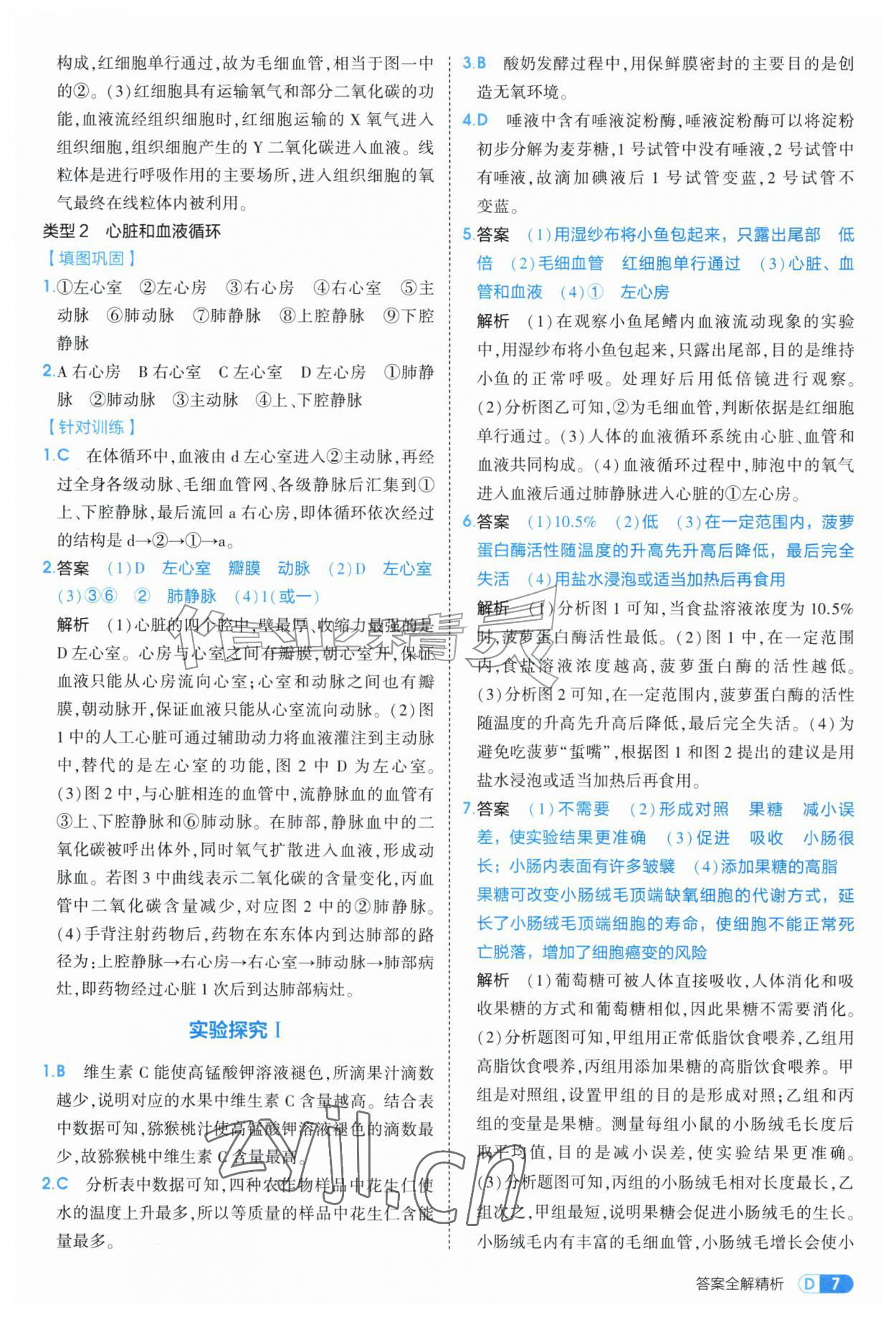 2026年5年中考3年模拟八年级生物上册苏科版&nbsp;第7页